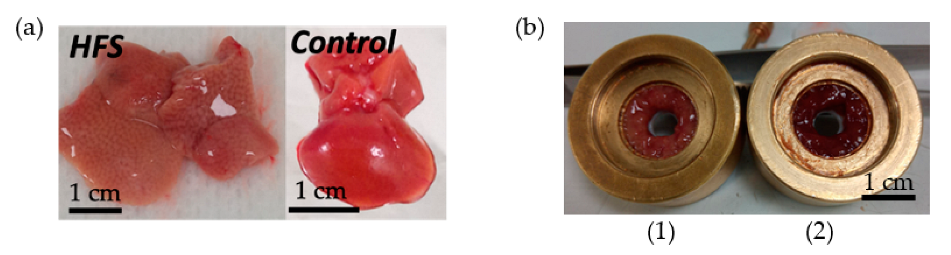 Sensors 23 03434 g004 Sensors 23 03434 g004