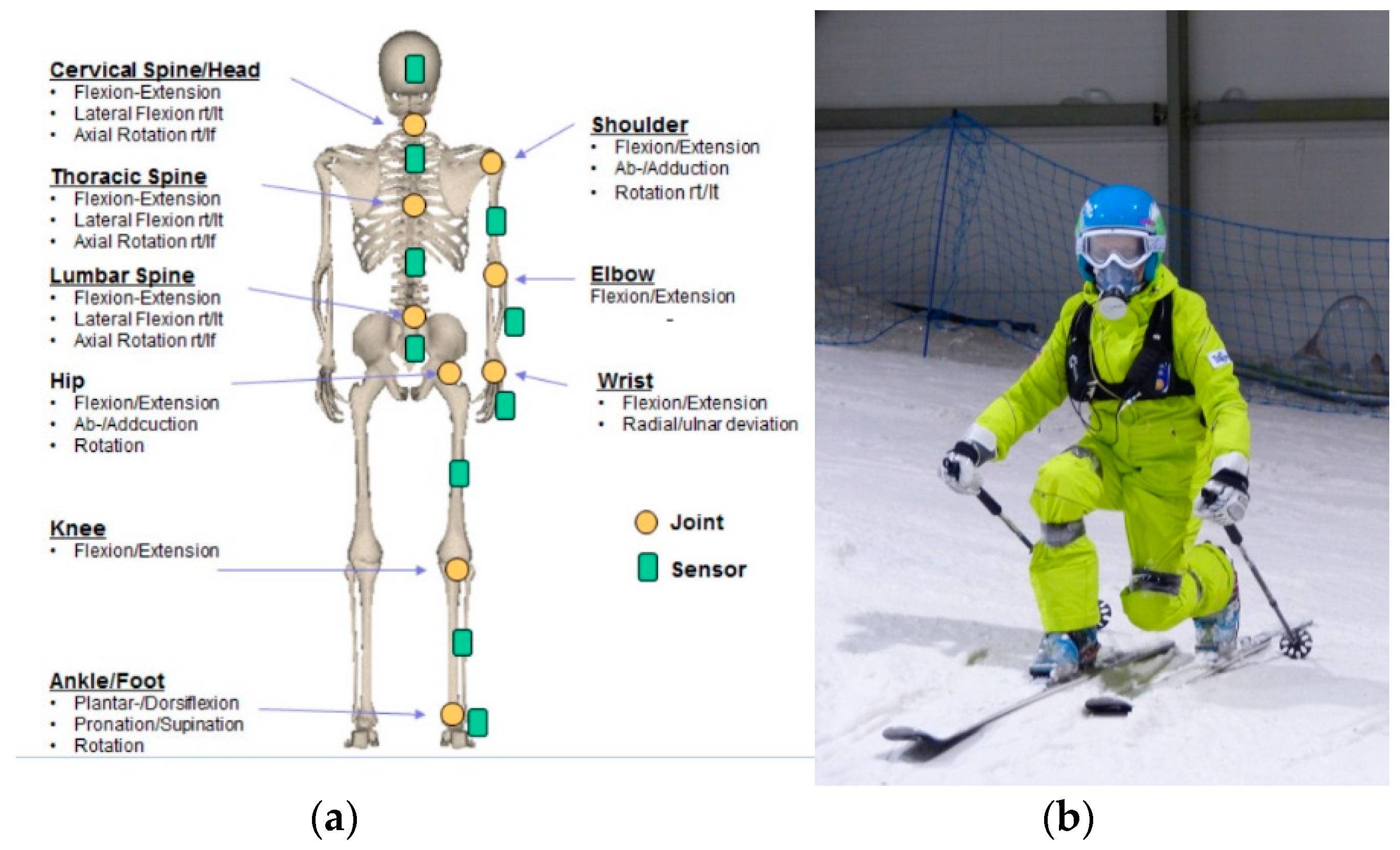 Sensors Free FullText Description of Telemark Skiing Technique