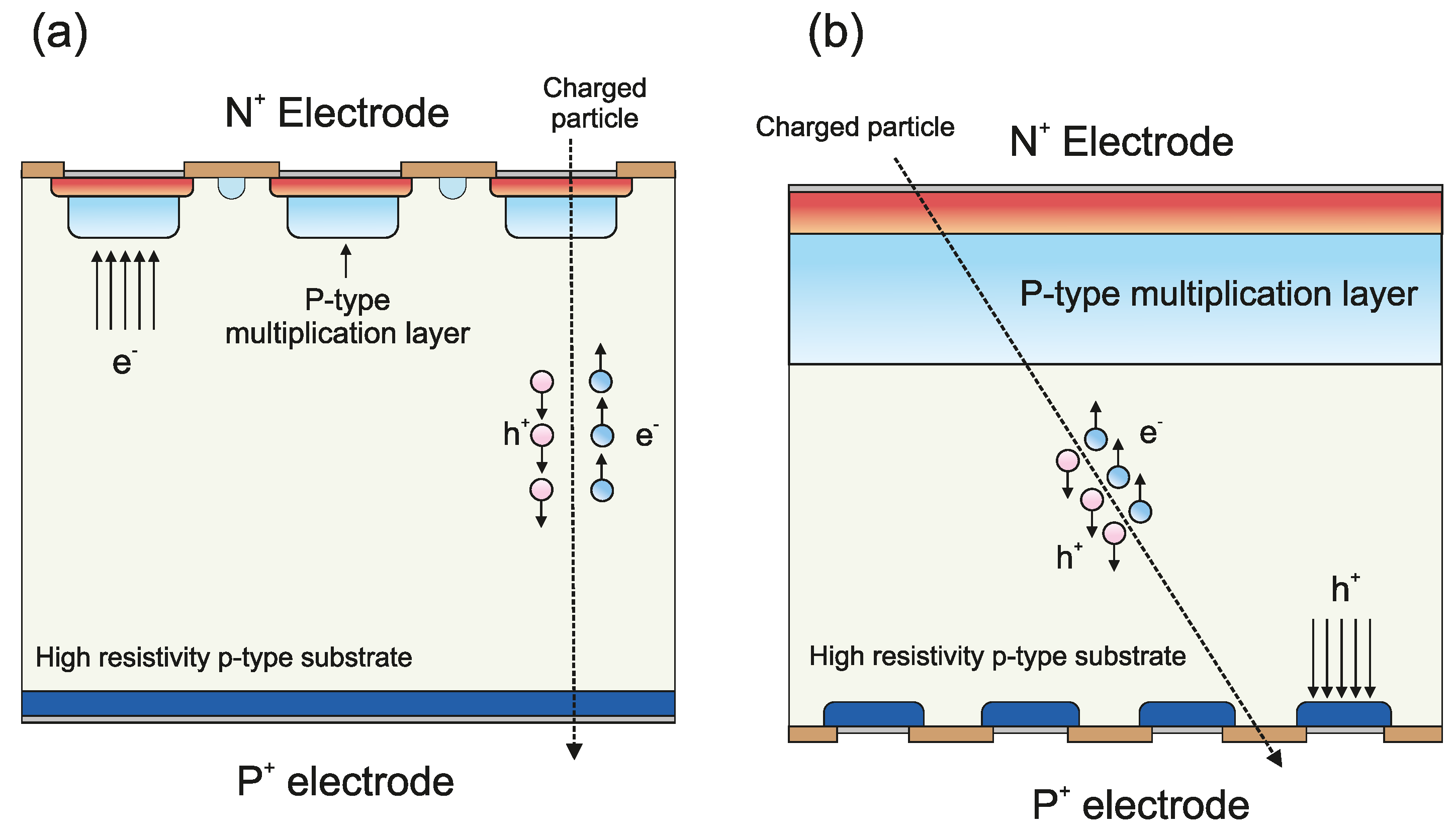 Sensors 23 03450 g001