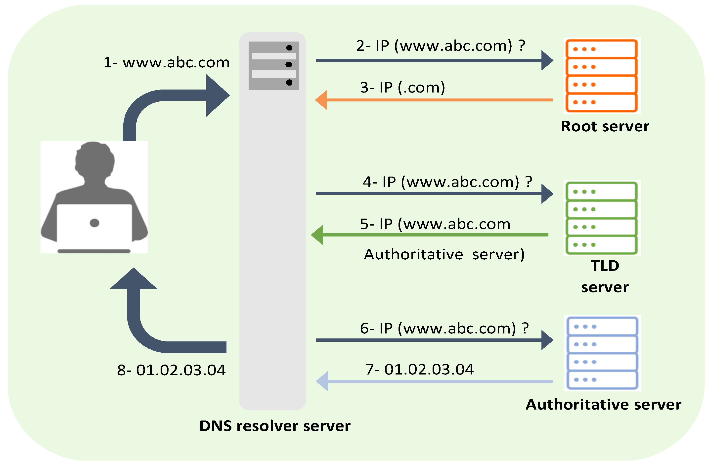 Dns 2024 cycle online