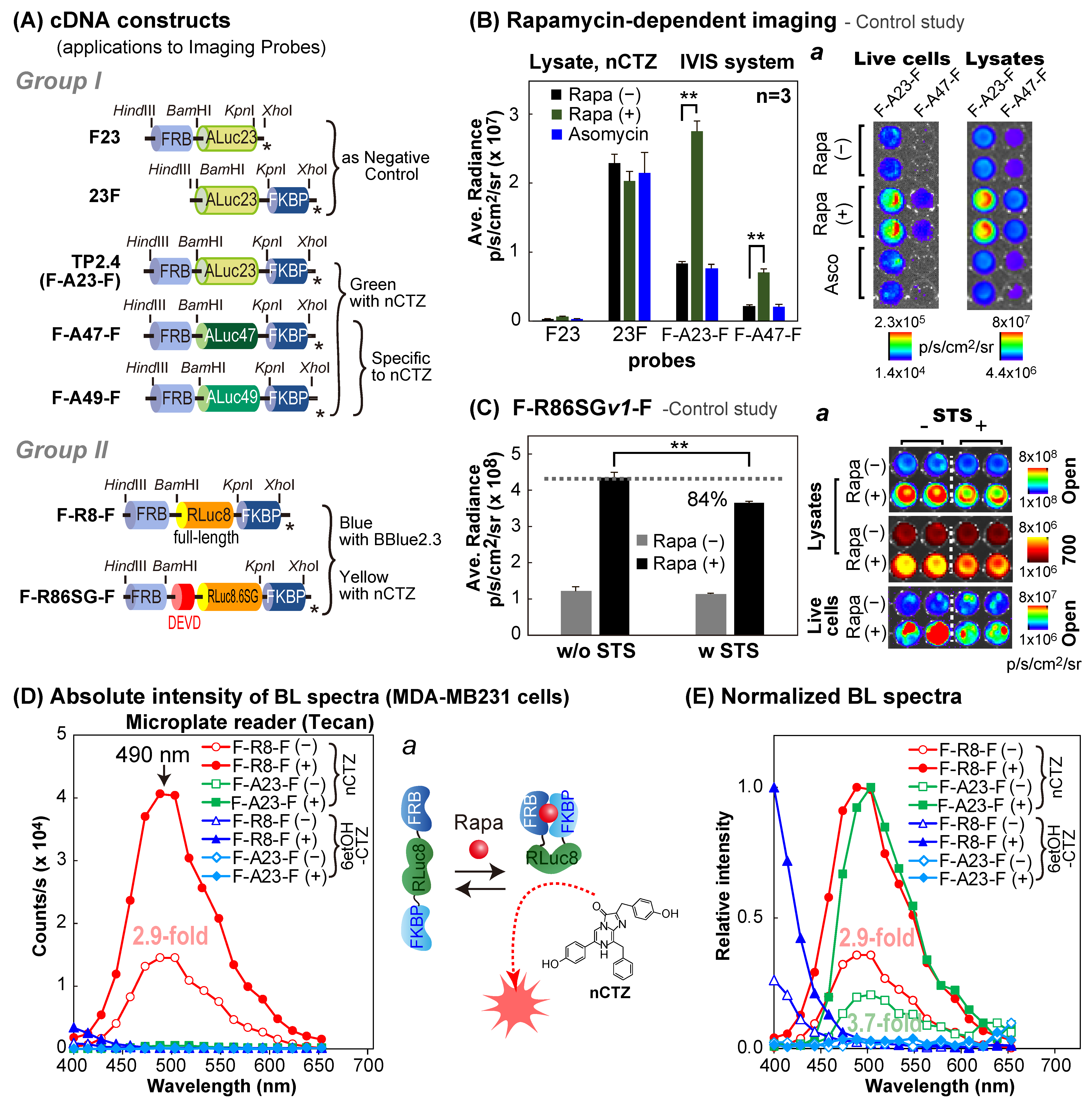 Sensors 23 03498 g001