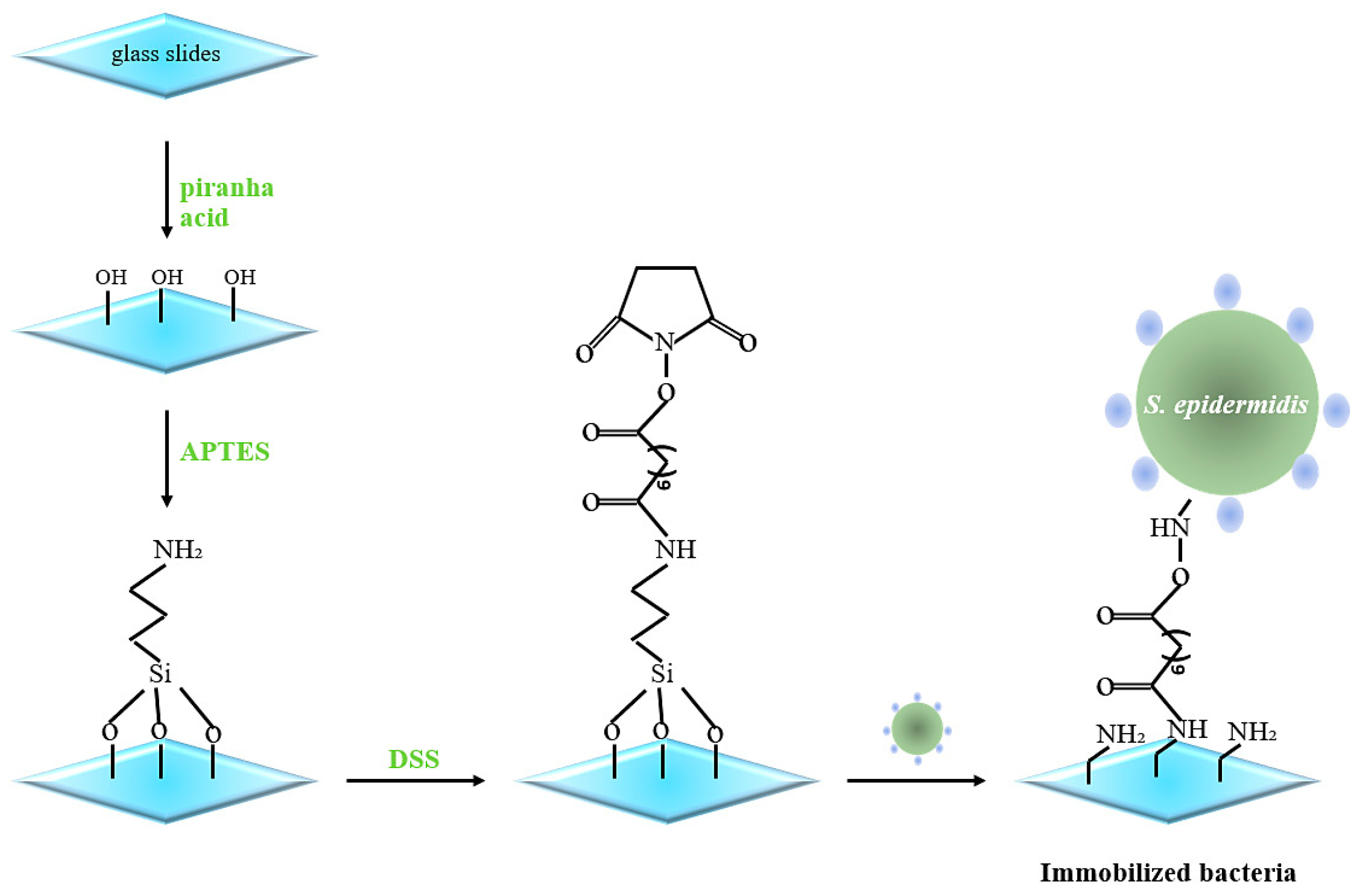 Sensors 23 03526 g001 Sensors 23 03526 g001