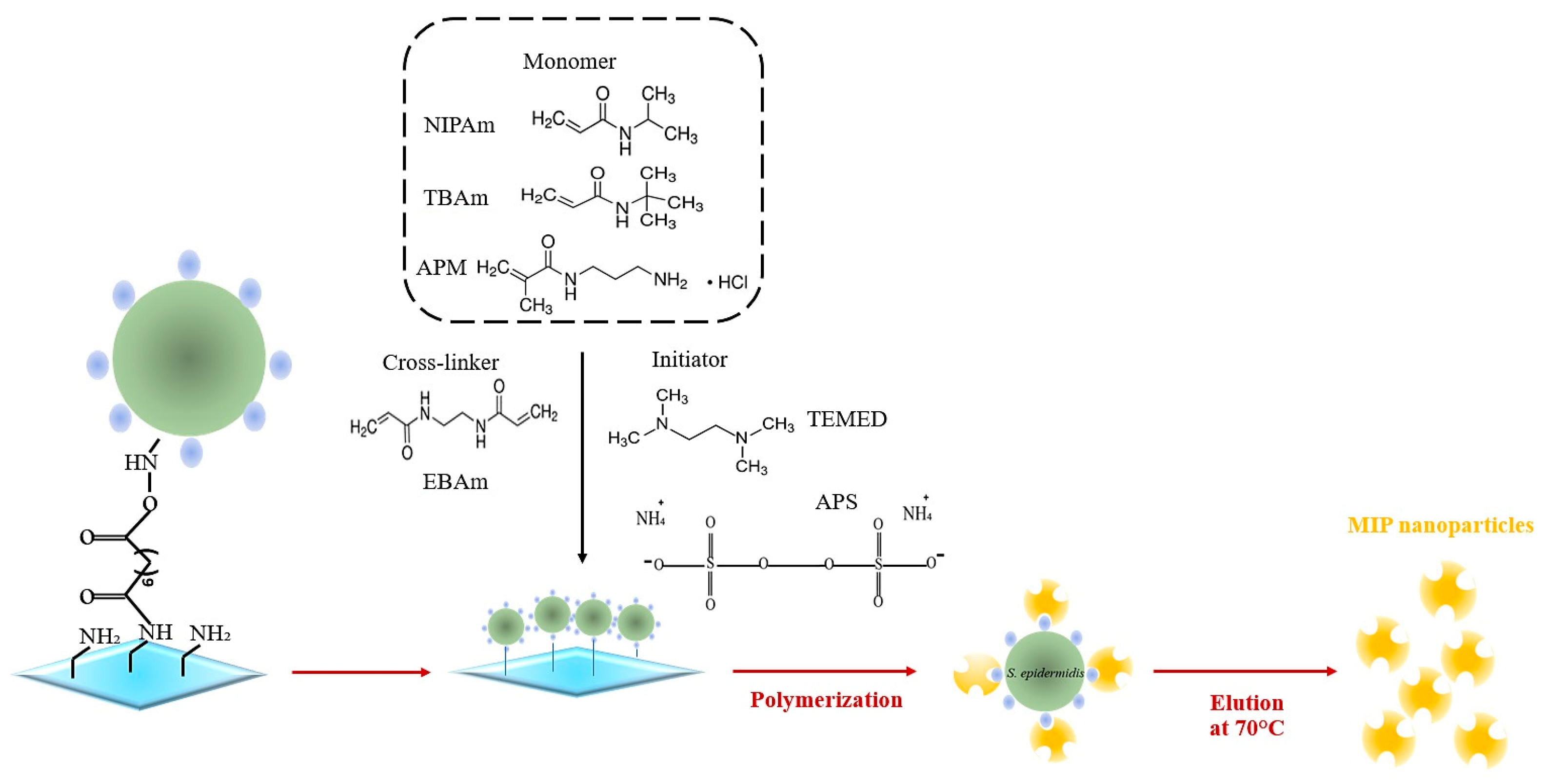 Sensors 23 03526 g002 Sensors 23 03526 g002