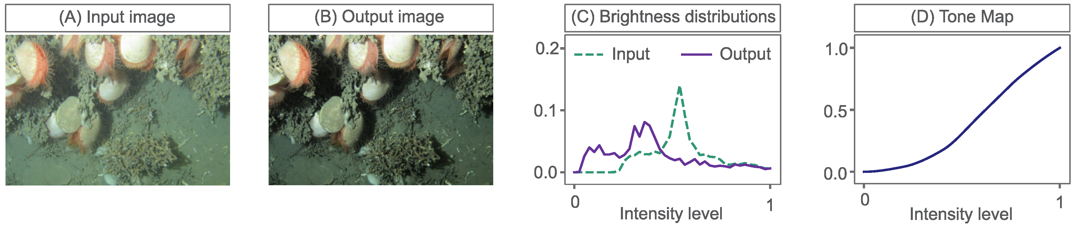 Sensors 23 03533 g001