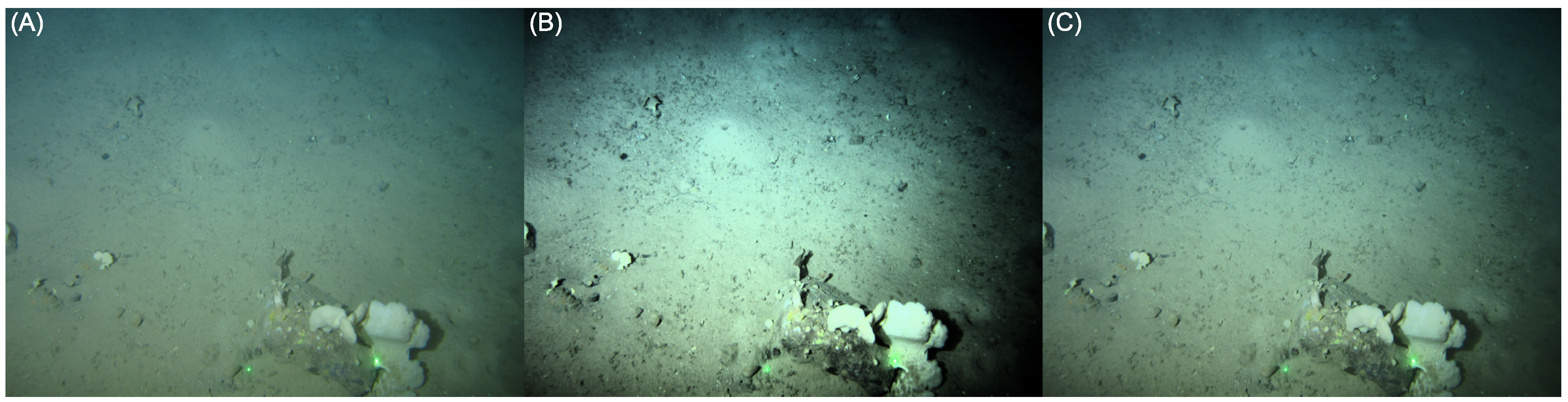 Sensors 23 03533 g003