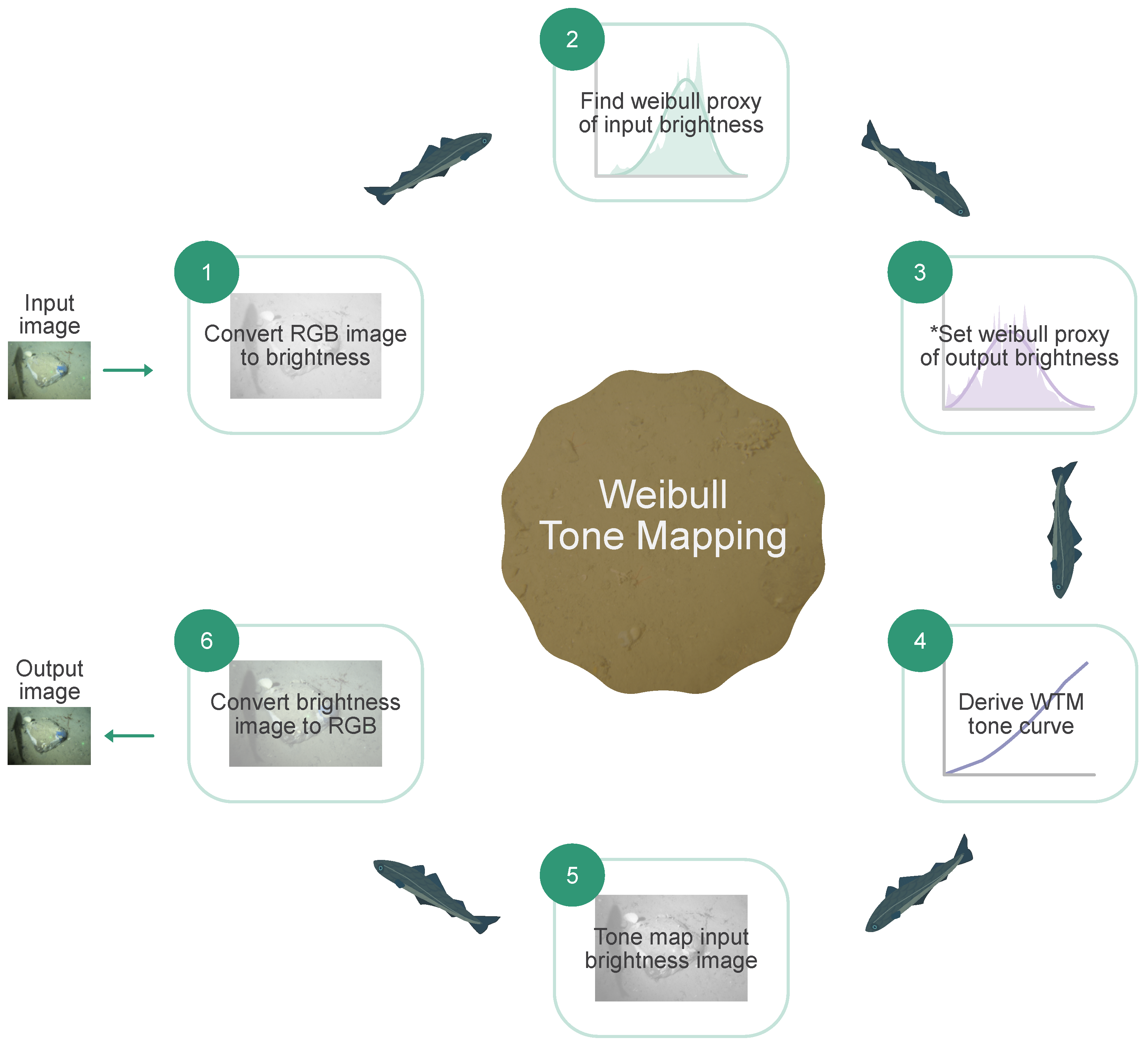 Sensors 23 03533 g006