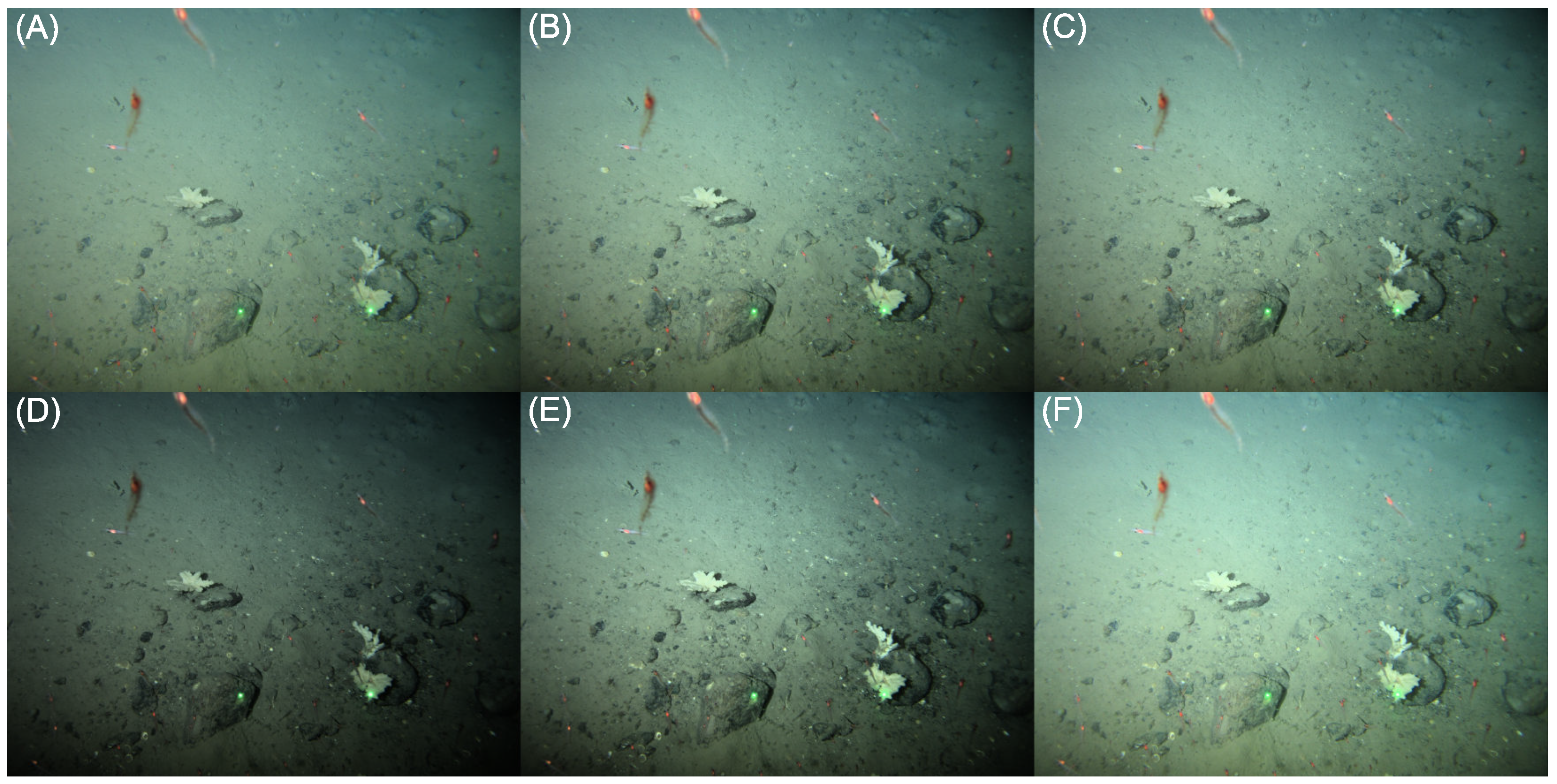 Sensors 23 03533 g008