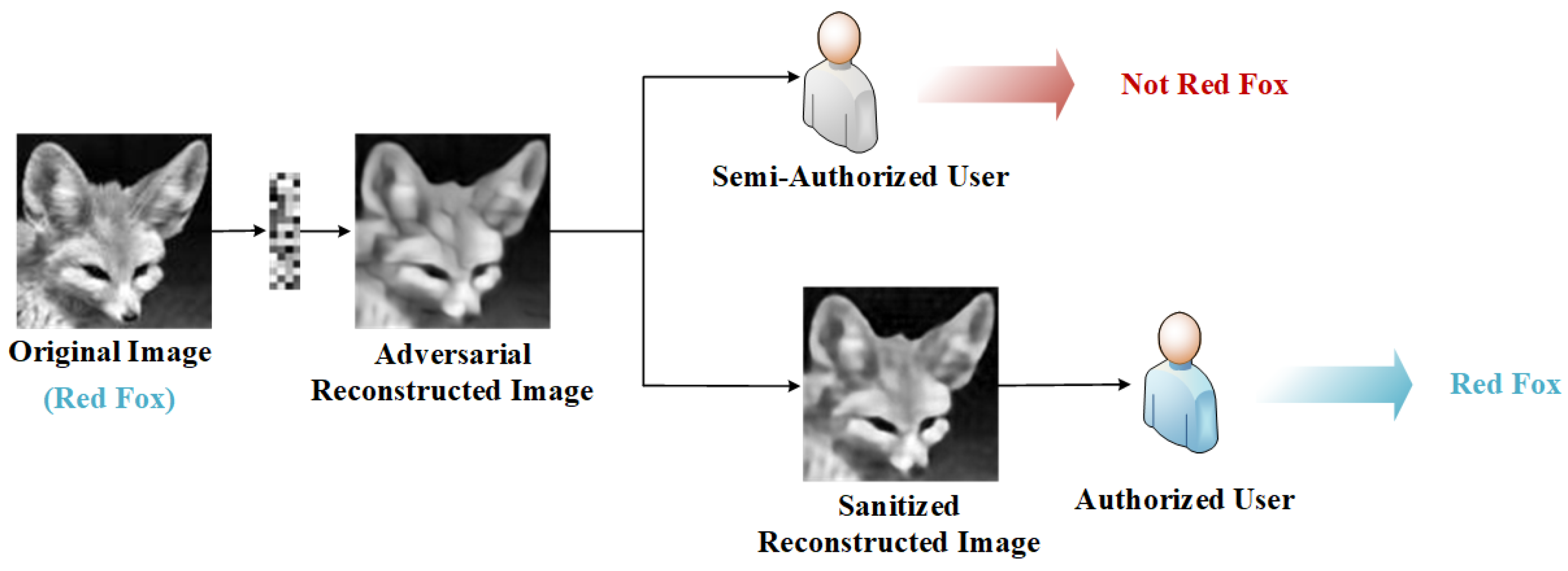 Sensors 23 03575 g001 Sensors 23 03575 g001