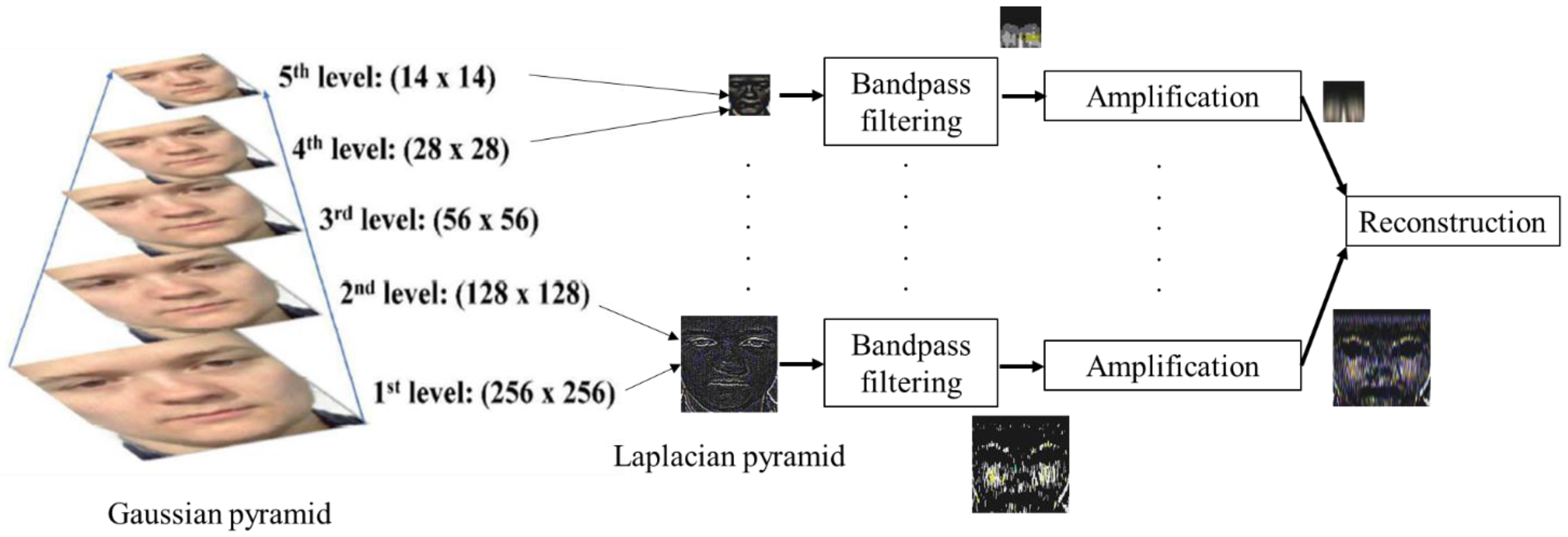 Sensors 23 03577 g007 550