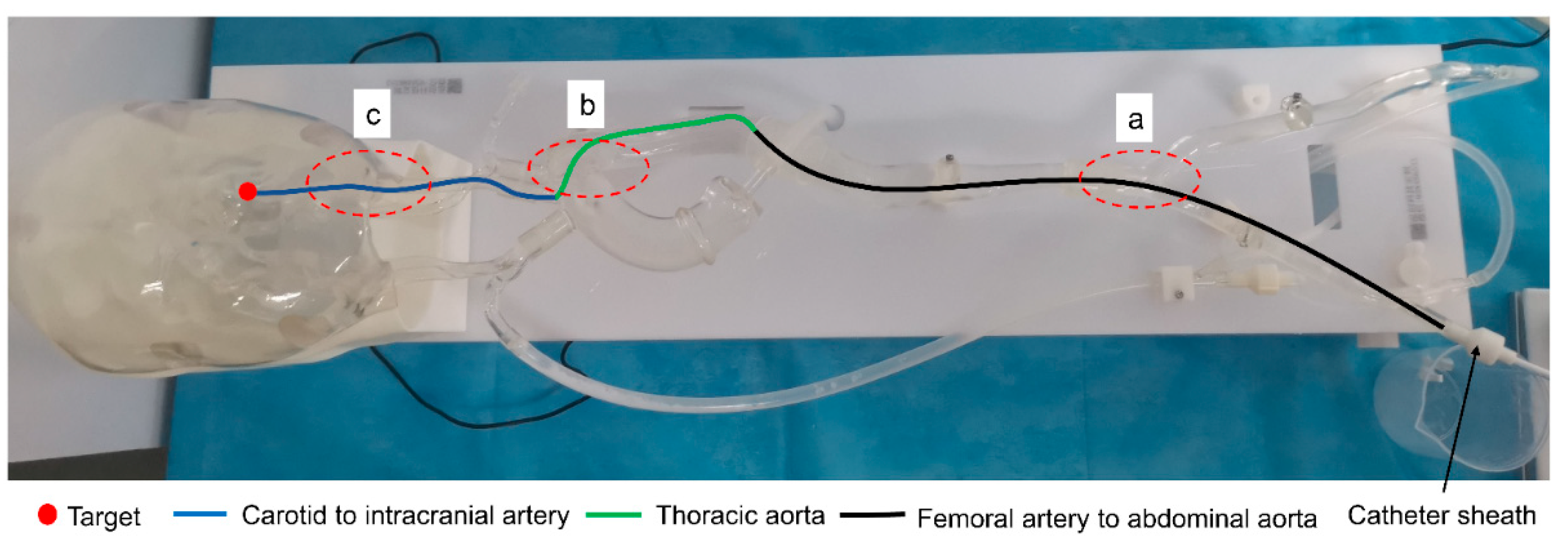 Sensors 23 03584 g018