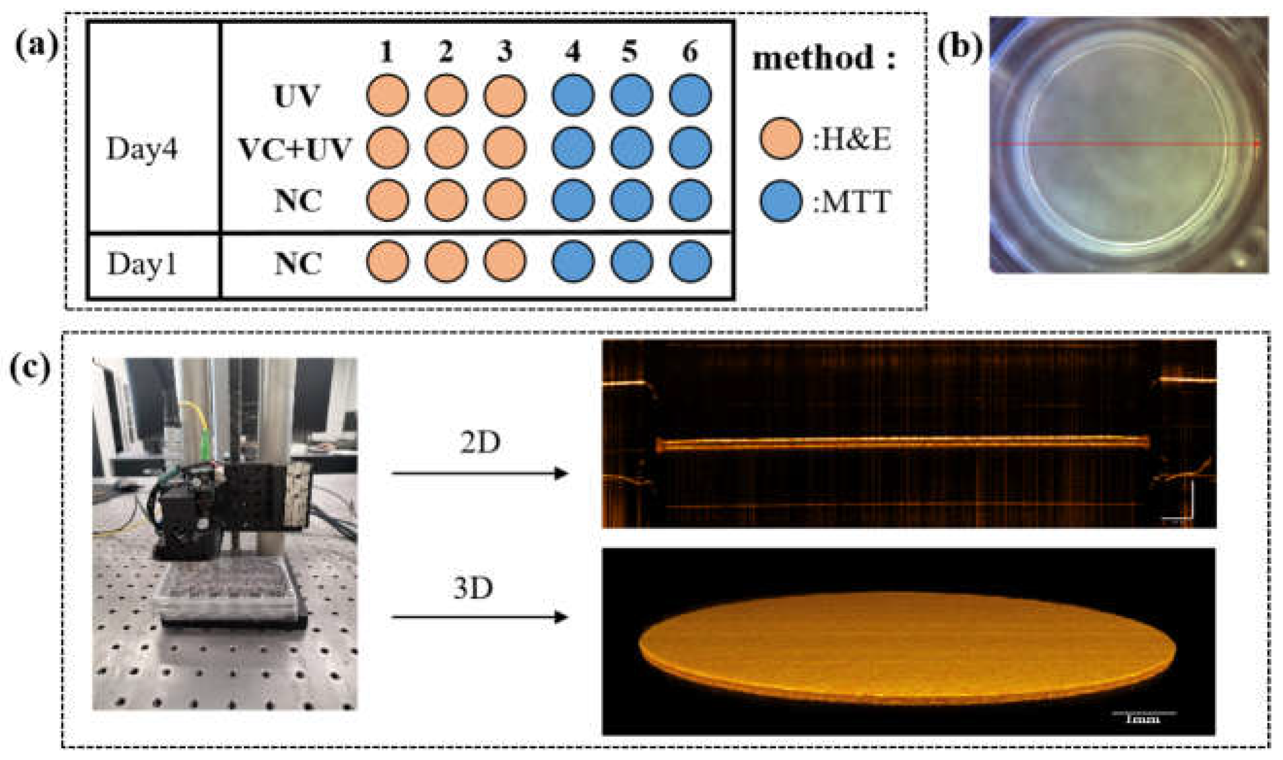 Sensors 23 03589 g001 Sensors 23 03589 g001
