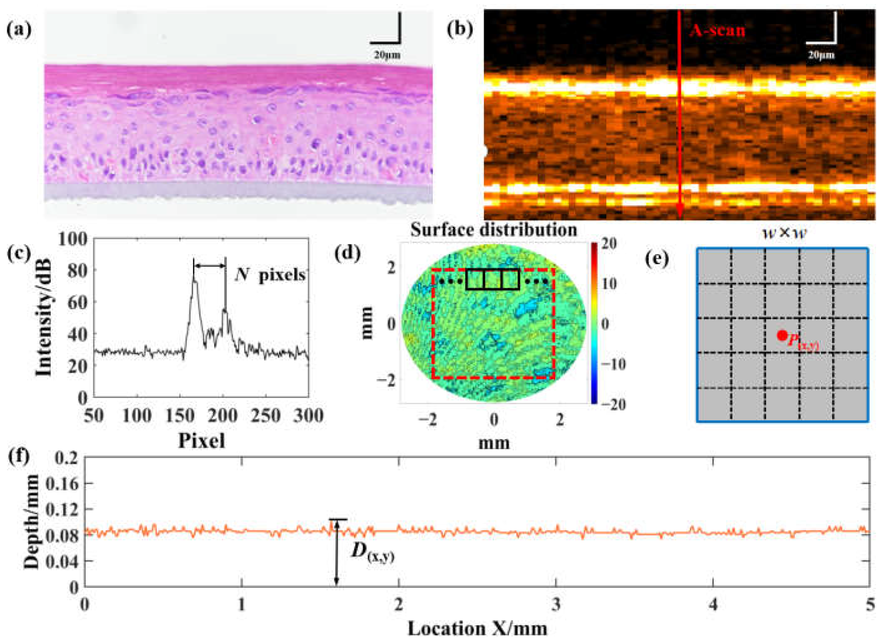 Sensors 23 03589 g002 Sensors 23 03589 g002