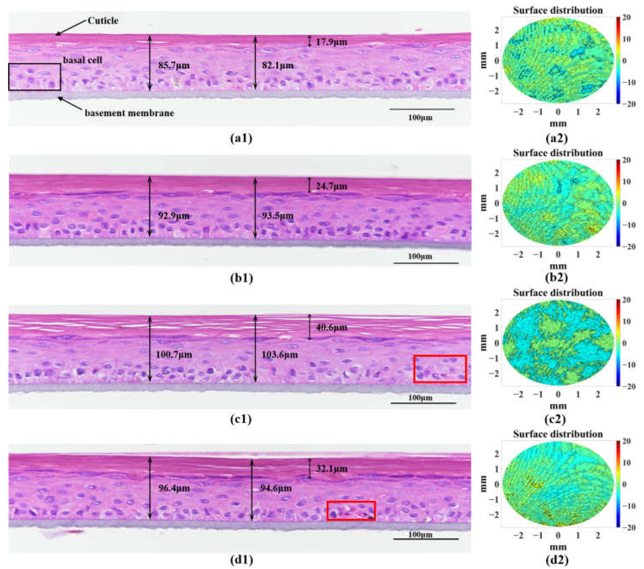 Sensors 23 03589 g008 Sensors 23 03589 g008