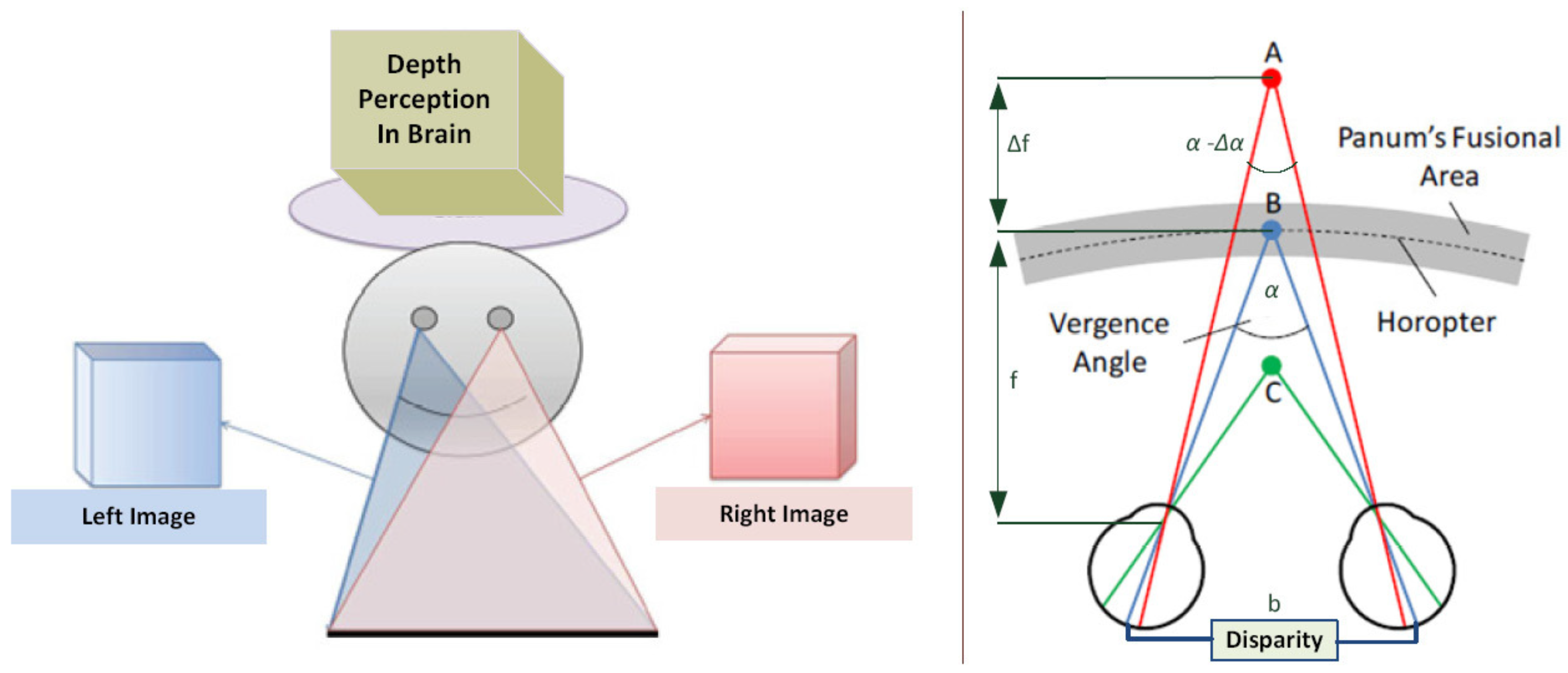 Sensors Free FullText Binocular Rivalry Impact on MacroblockLoss