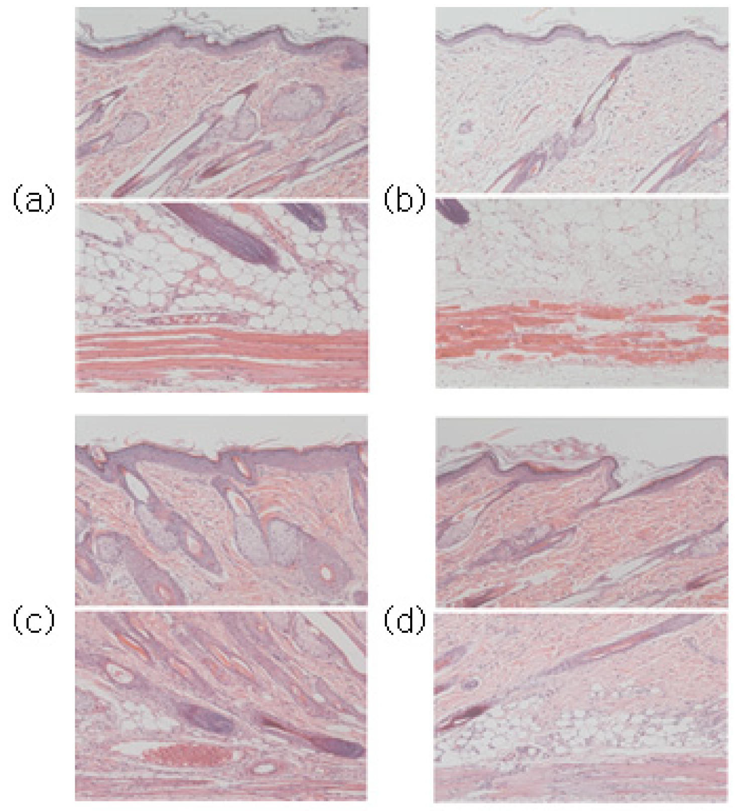 Sensors 23 03620 g009