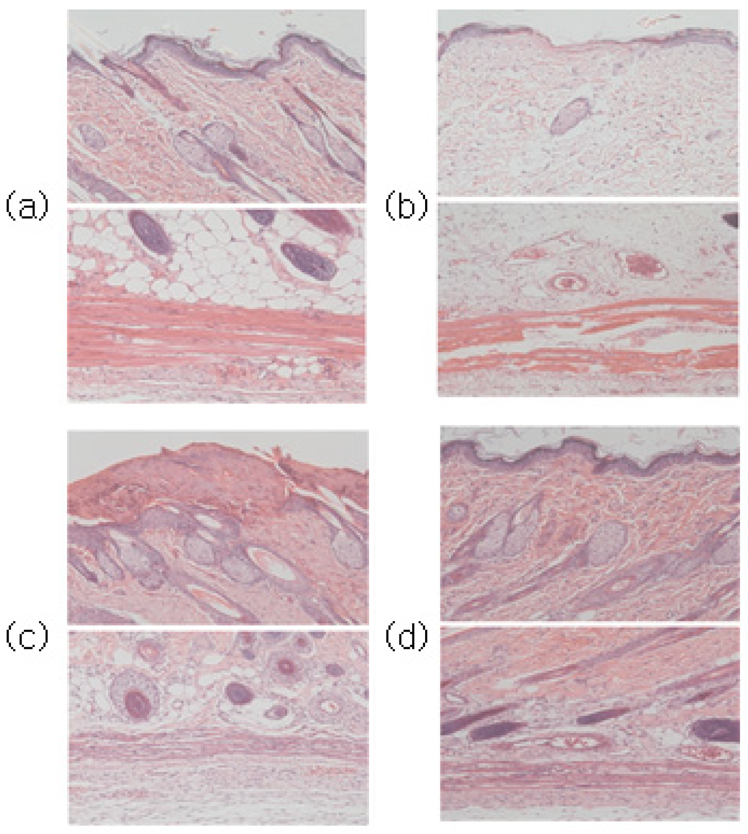 Sensors 23 03620 g010