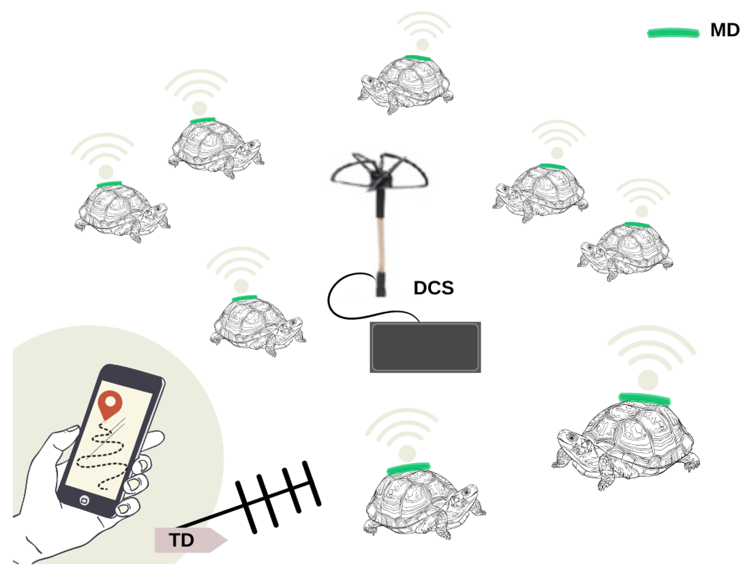 Sensors 23 03684 g001
