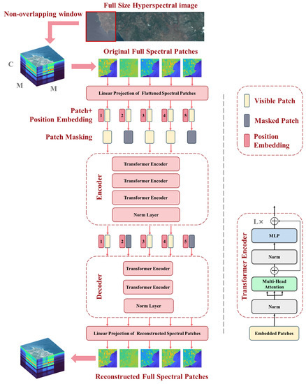 Sensors | Free Full-Text | SpectralMAE: Spectral Masked Autoencoder for ...