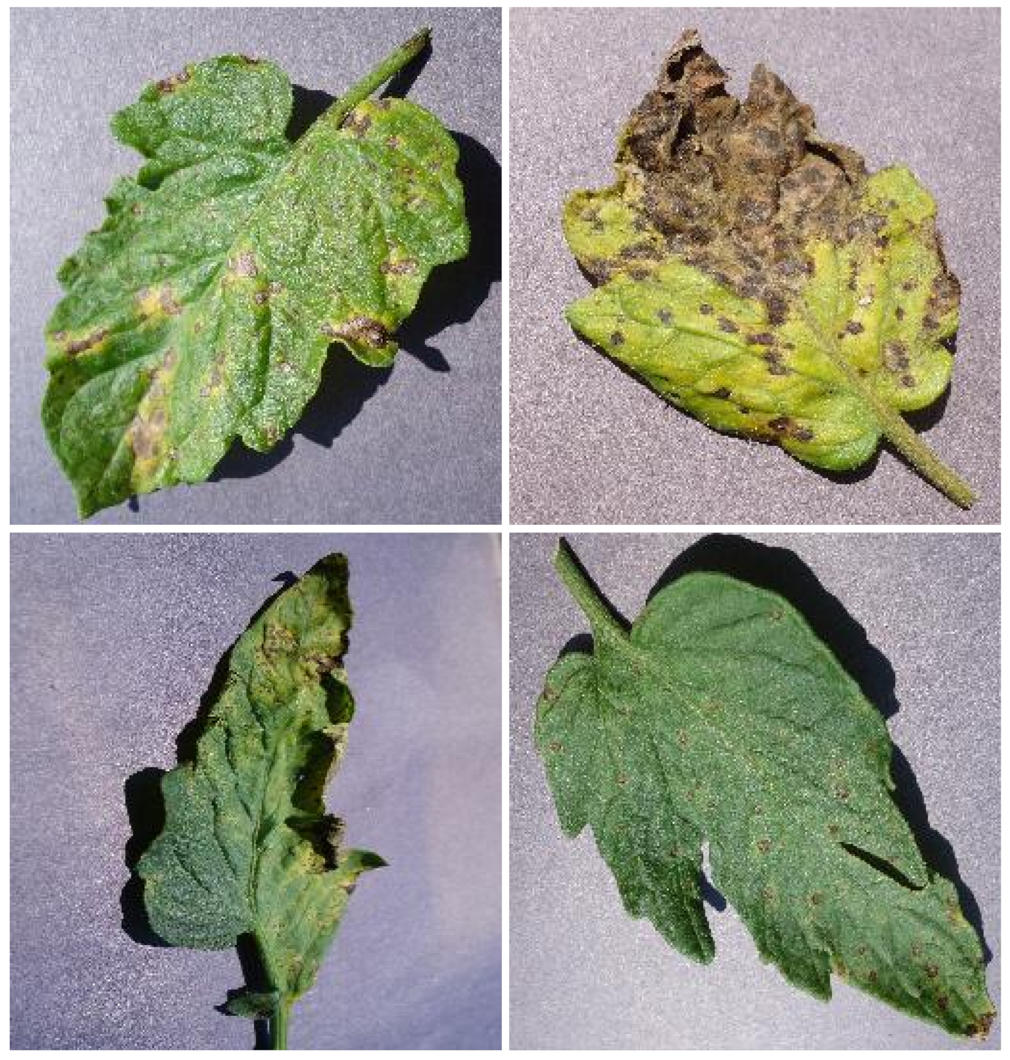 Sensors 23 03751 g013 Sensors 23 03751 g013