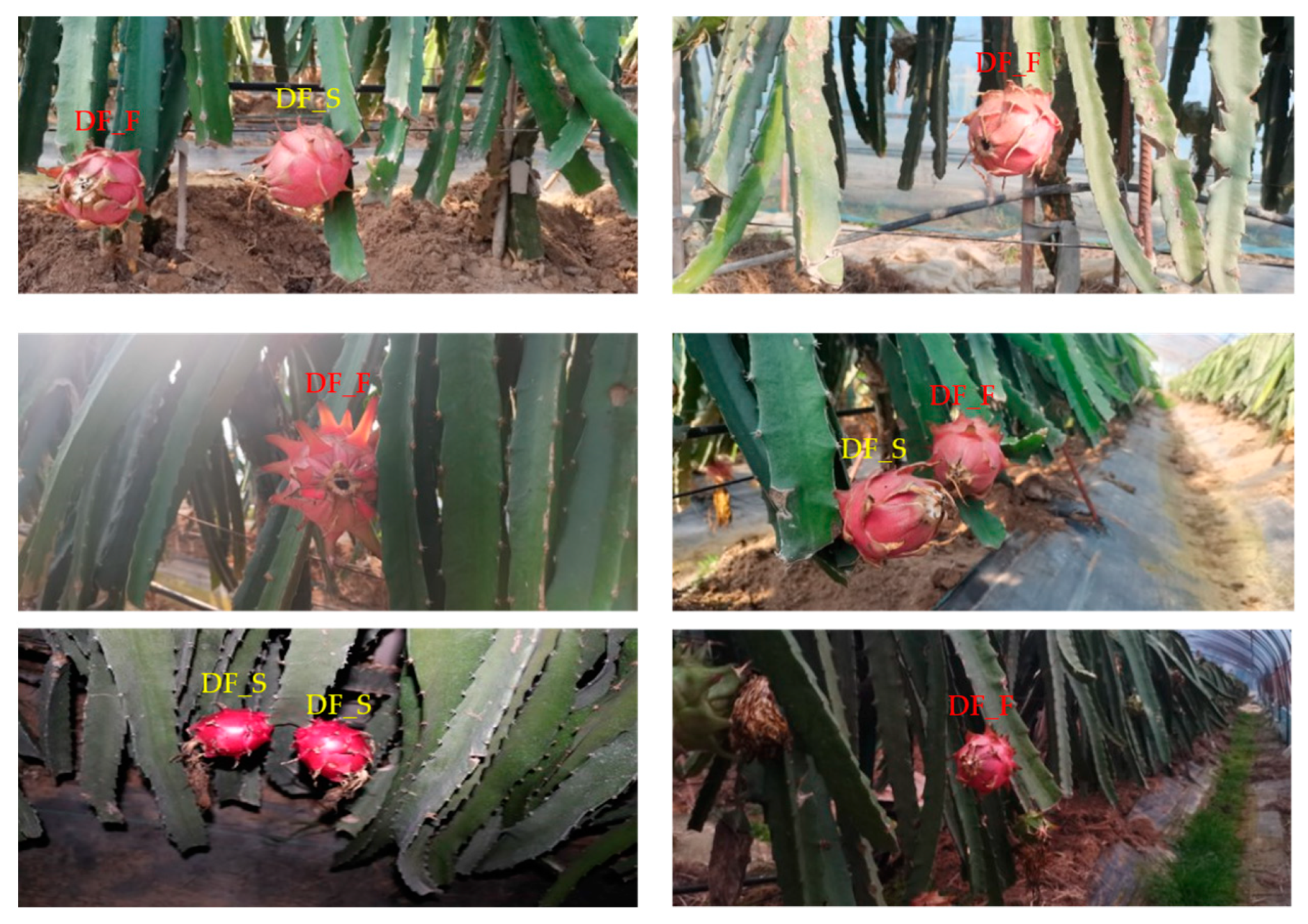 Sensors 23 03803 g001