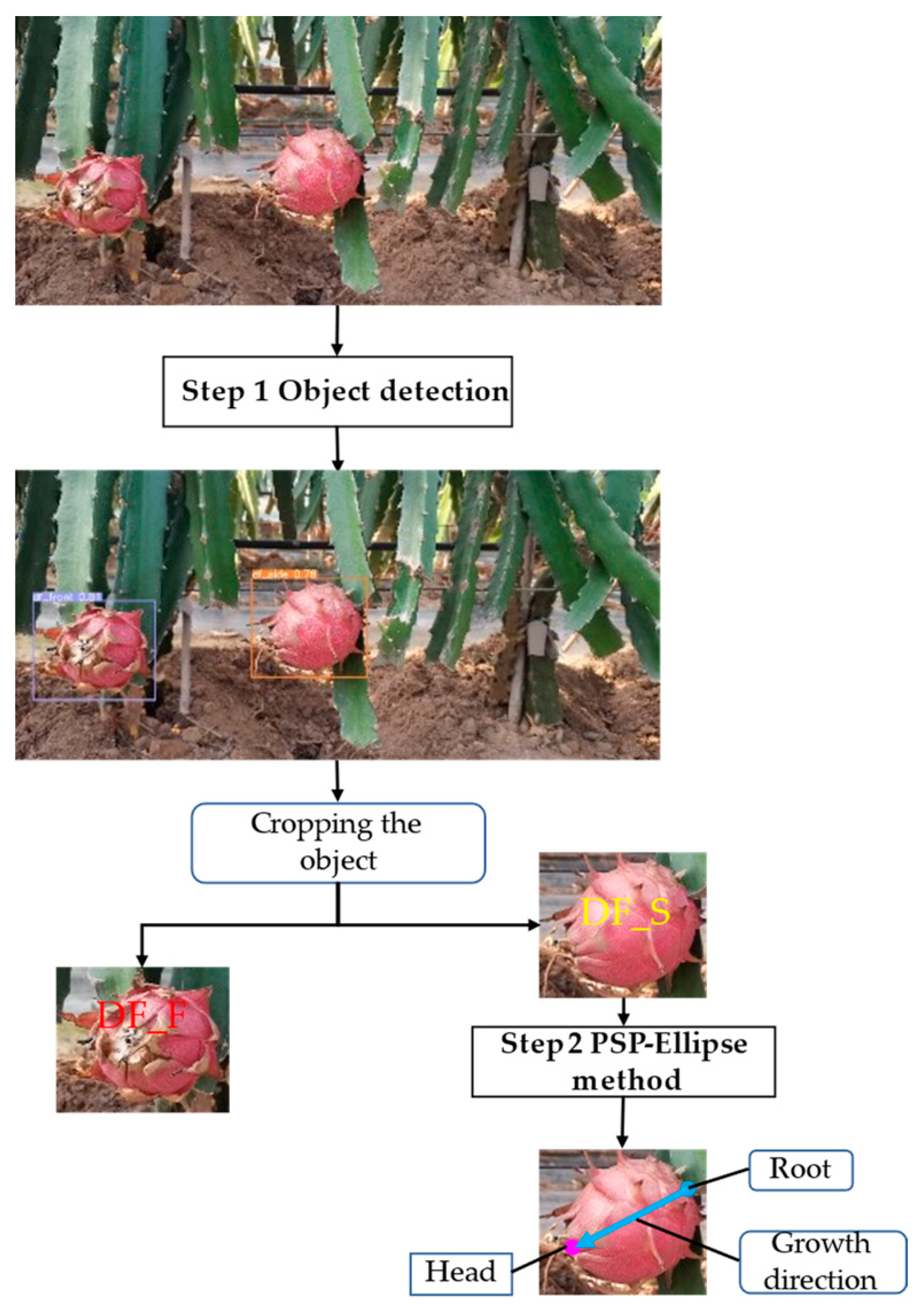 Sensors 23 03803 g002