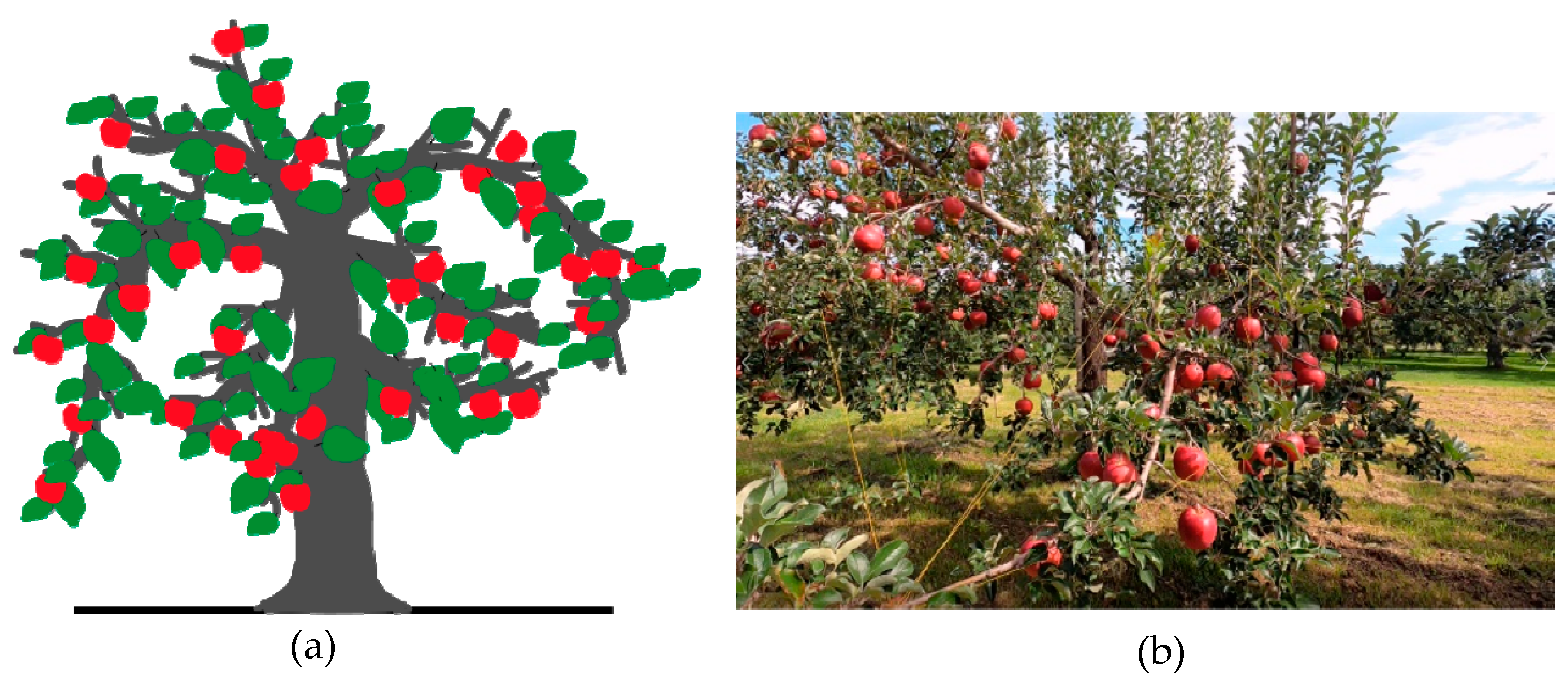 Sensors 23 03810 g001