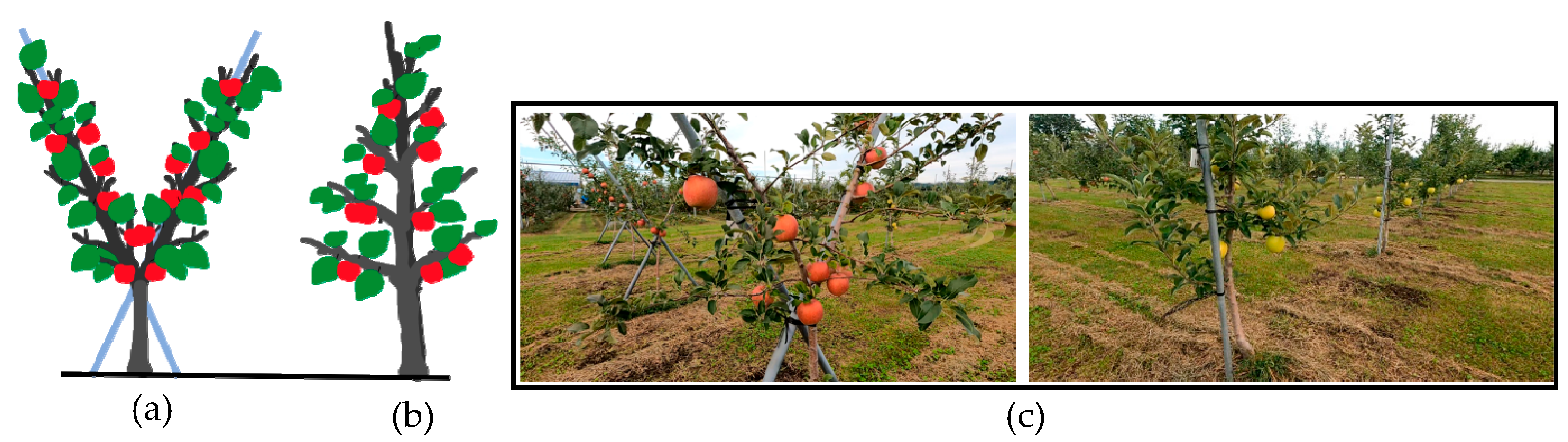 Sensors 23 03810 g002