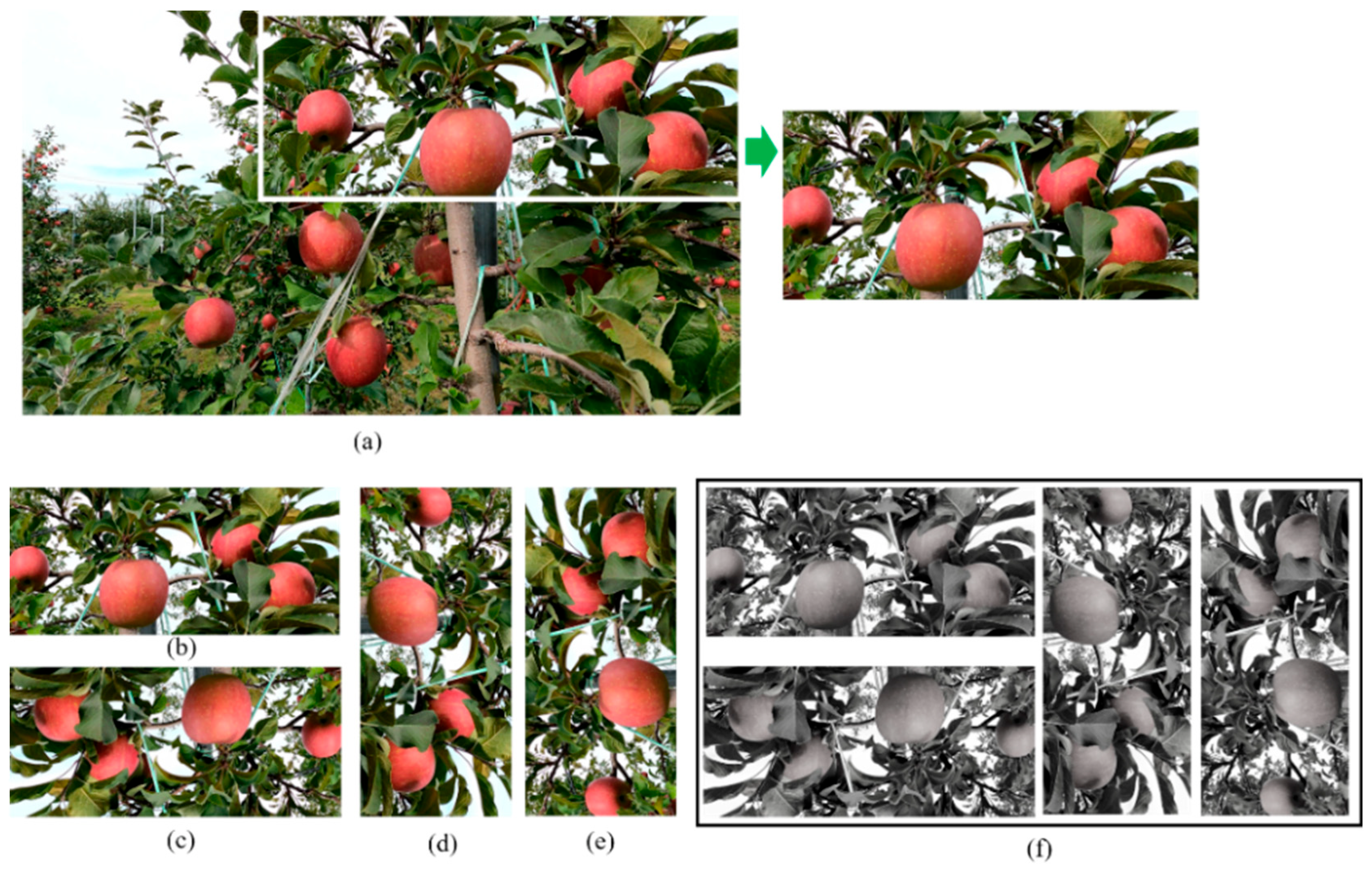 Sensors 23 03810 g003