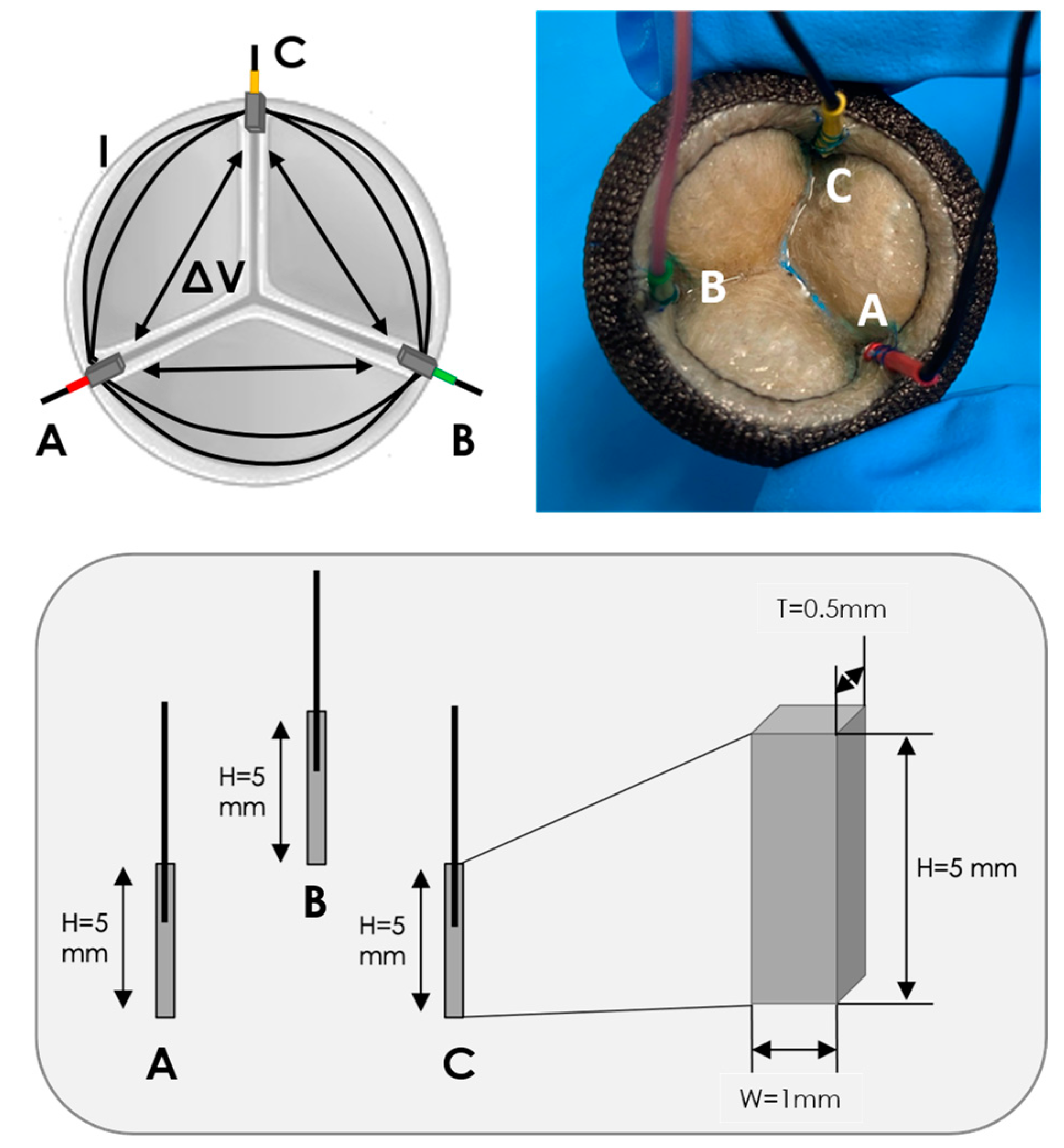 Sensors Free FullText First Ex Vivo Animal Study of a Biological