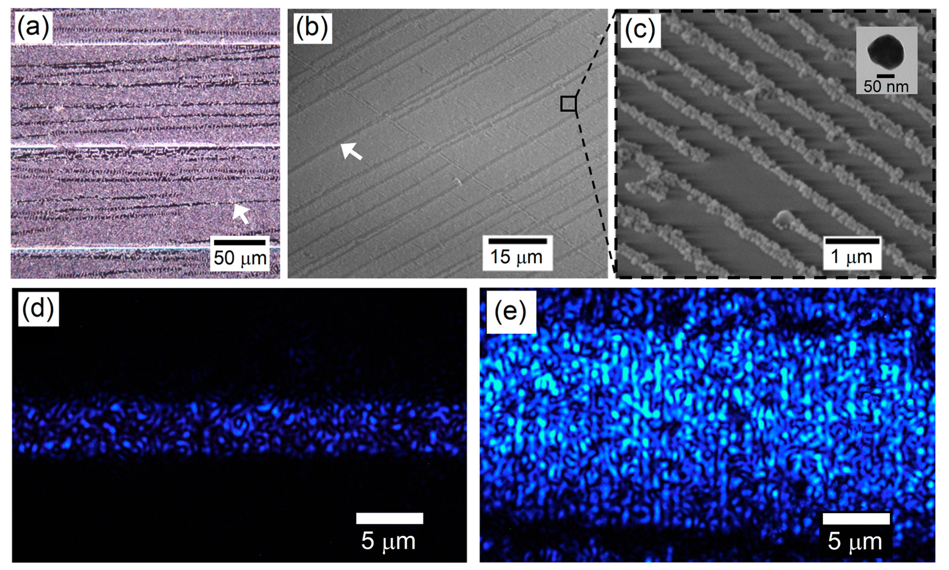 Sensors 23 03945 g005