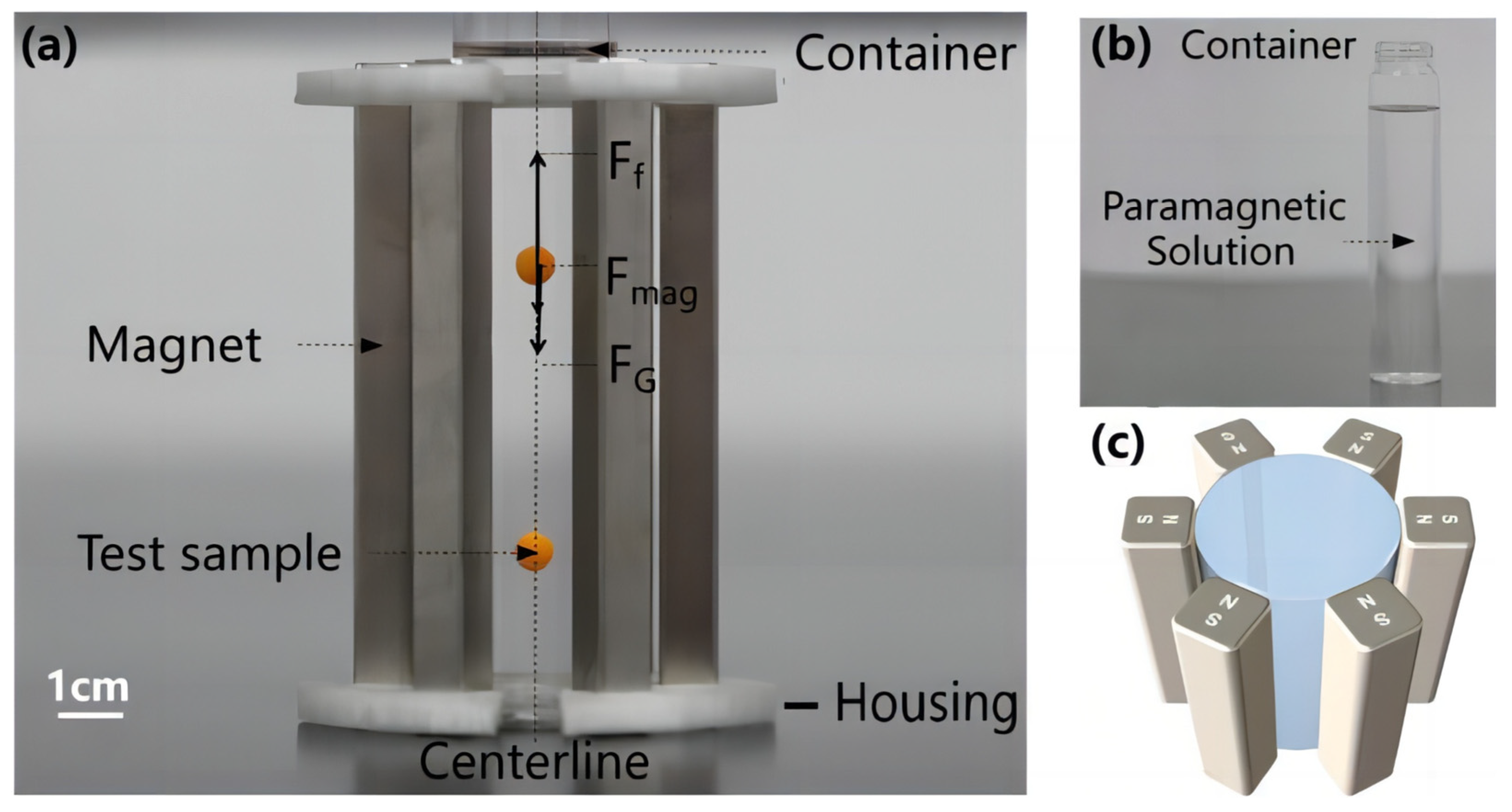 Sensors 23 03955 g001 Sensors 23 03955 g001