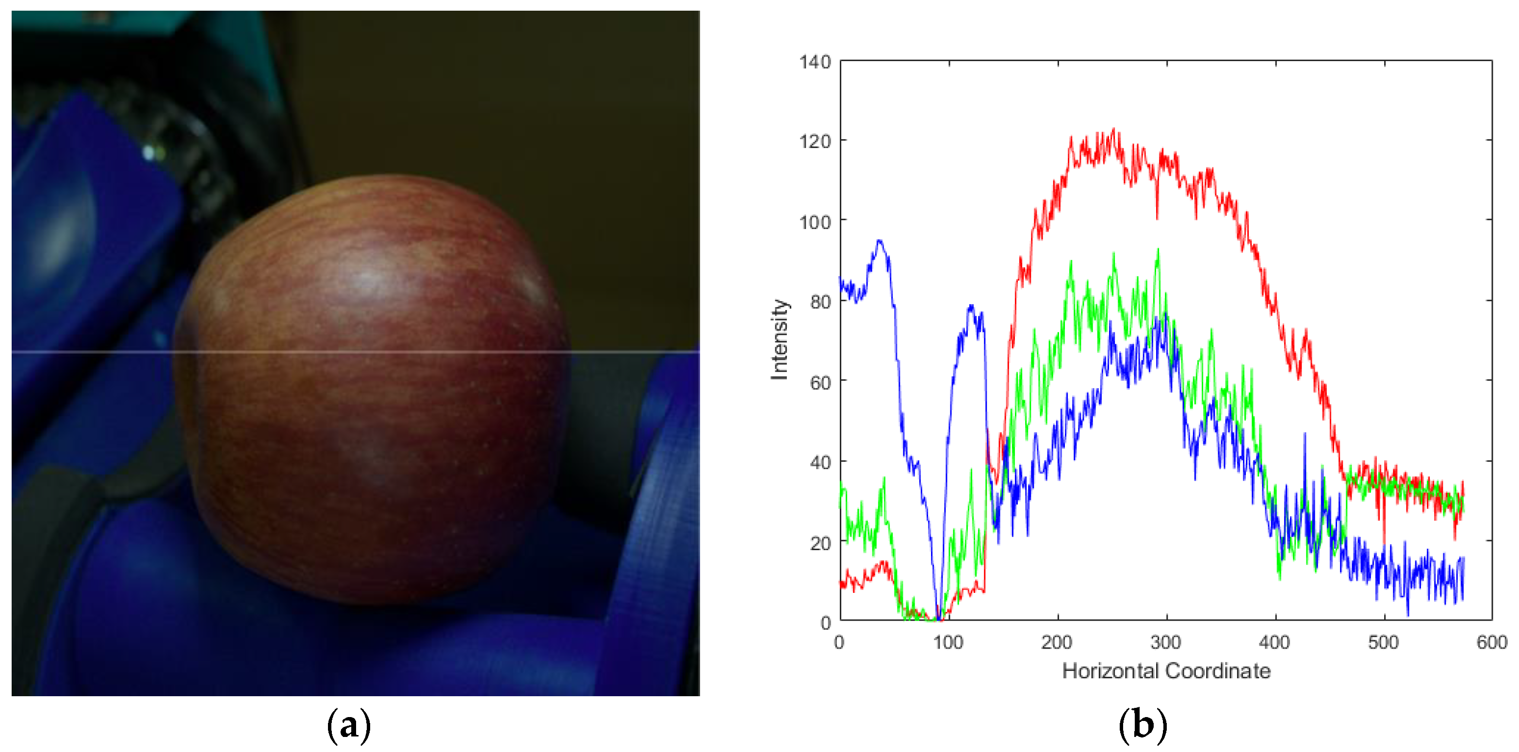 Sensors 23 03968 g006