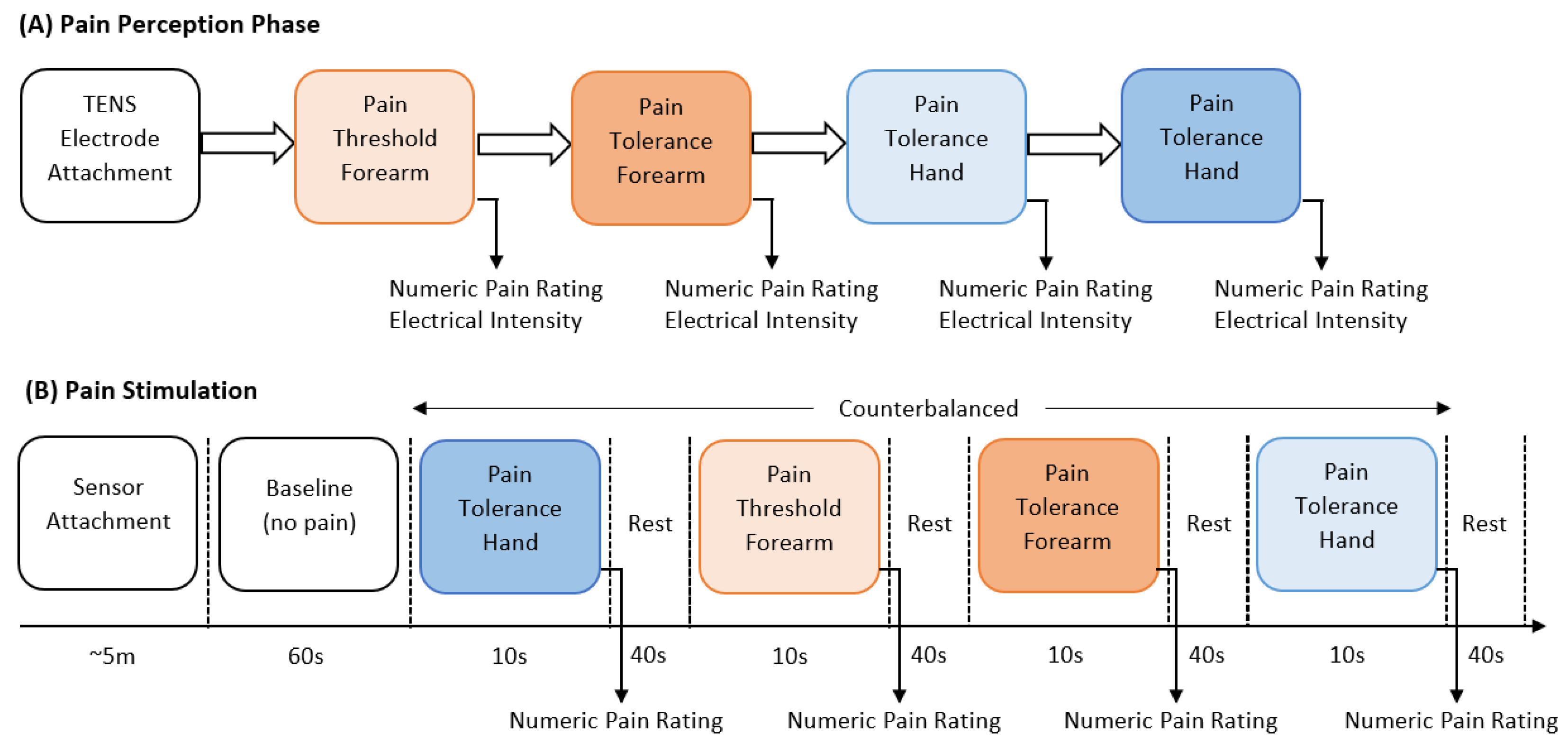 Sensors 23 03980 g001
