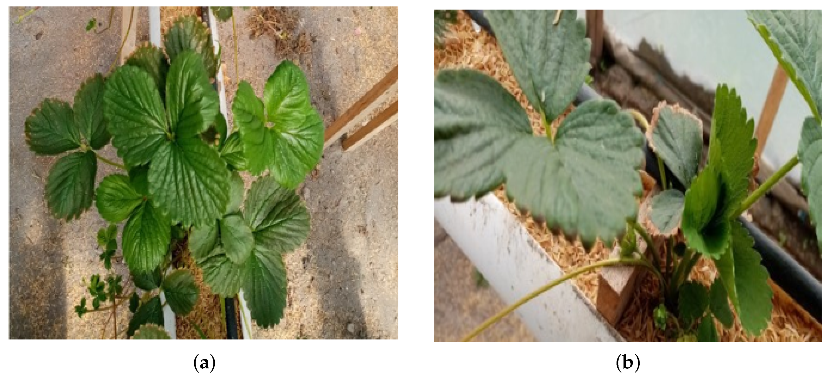 Sensors 23 04088 g0a1 Sensors 23 04088 g0a1