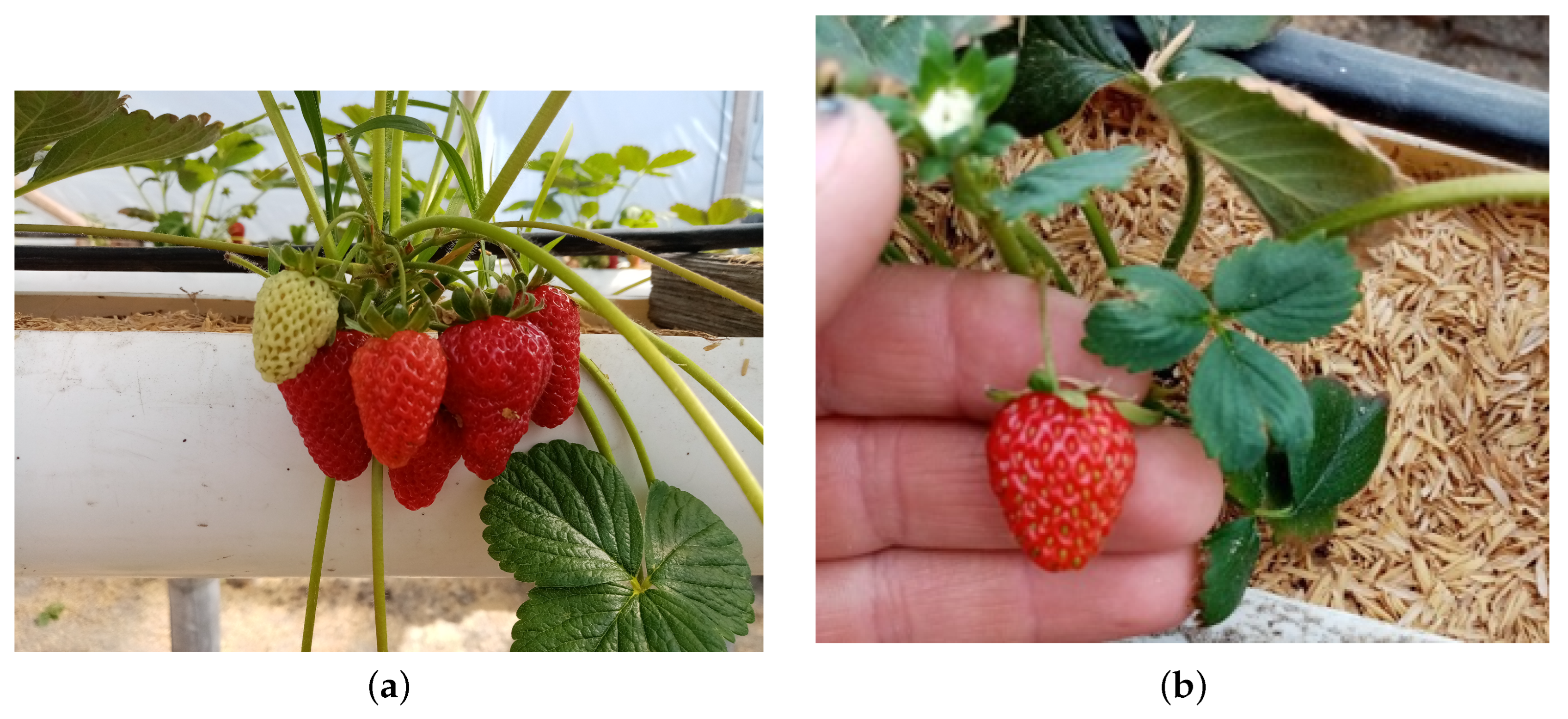 Sensors 23 04088 g0a2 Sensors 23 04088 g0a2