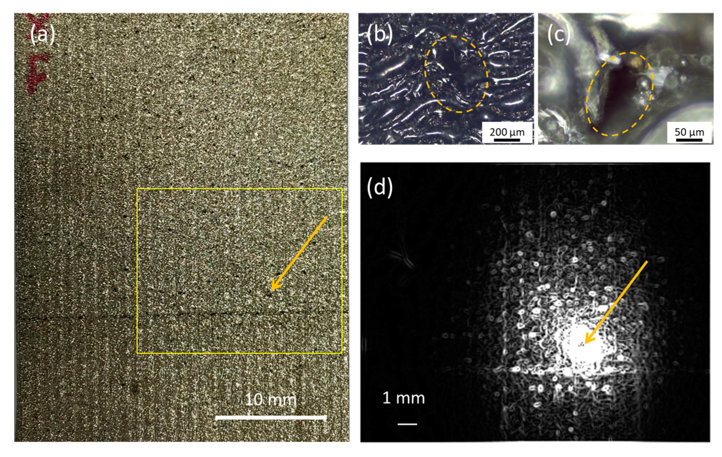 Sensors 23 04090 g003 Sensors 23 04090 g003