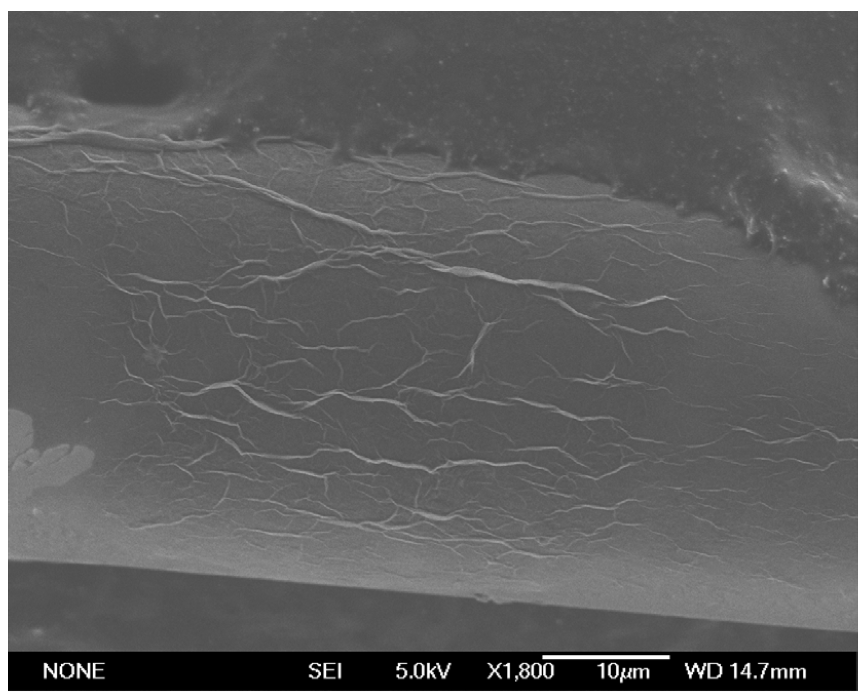 Sensors 23 04098 g005