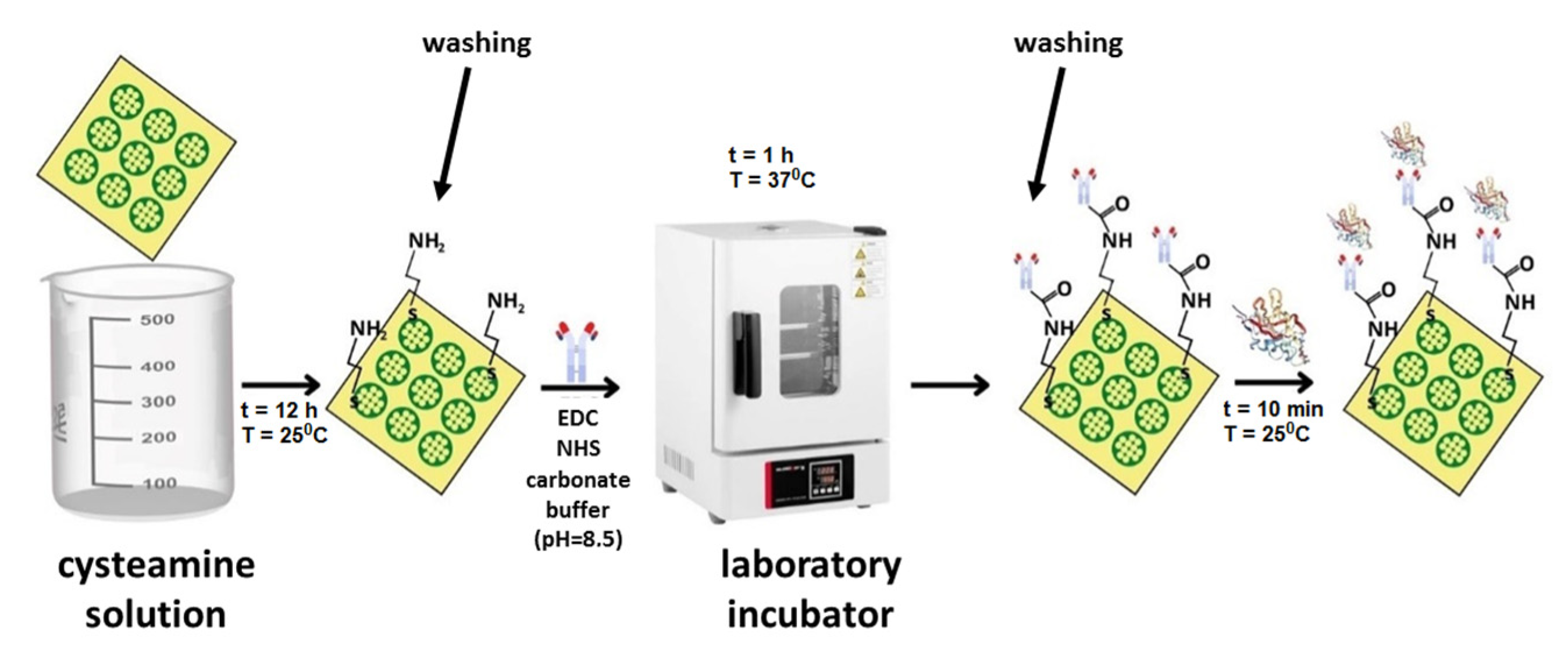 Sensors 23 04118 g001 Sensors 23 04118 g001
