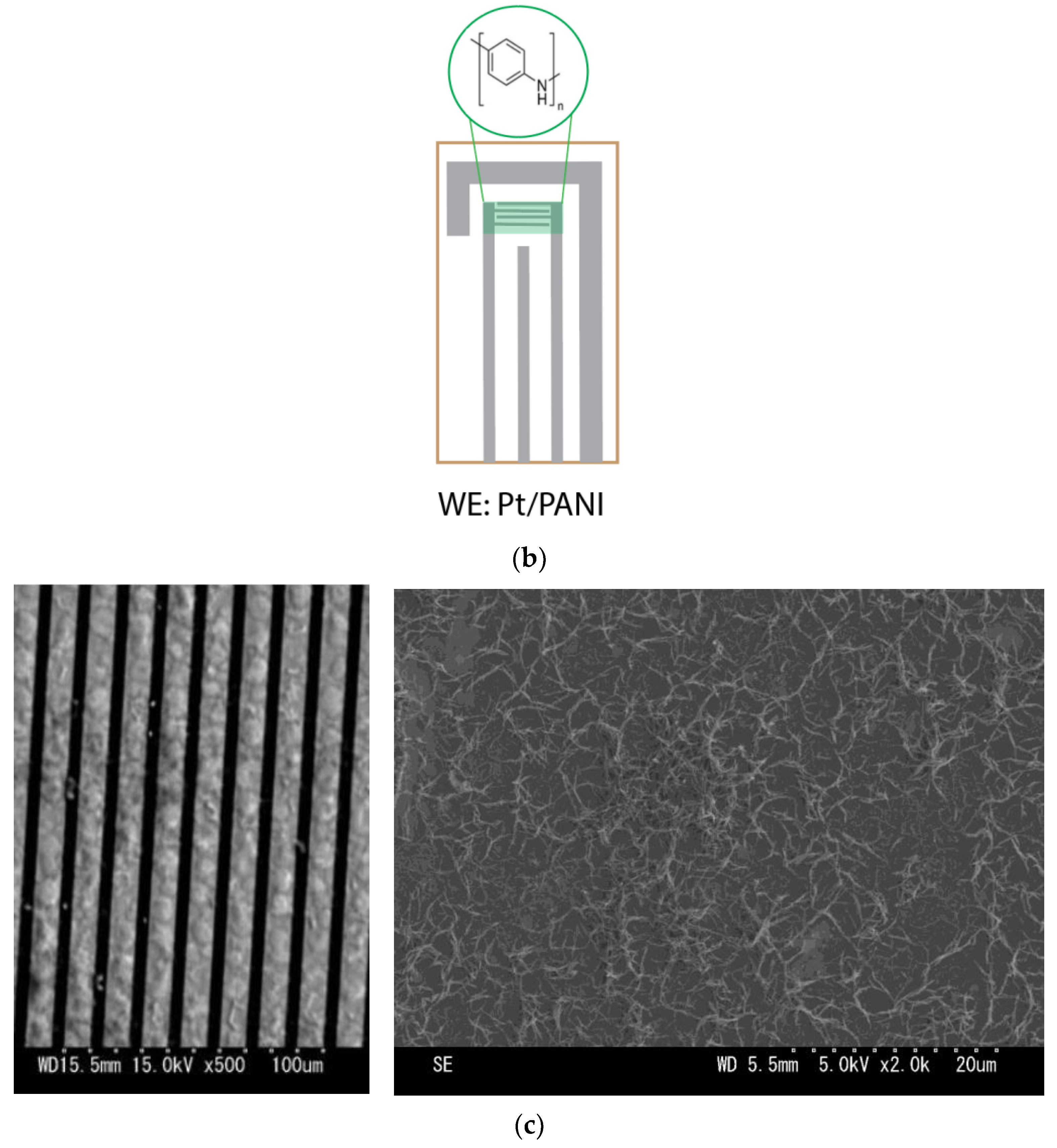 Sensors 23 04132 g001b