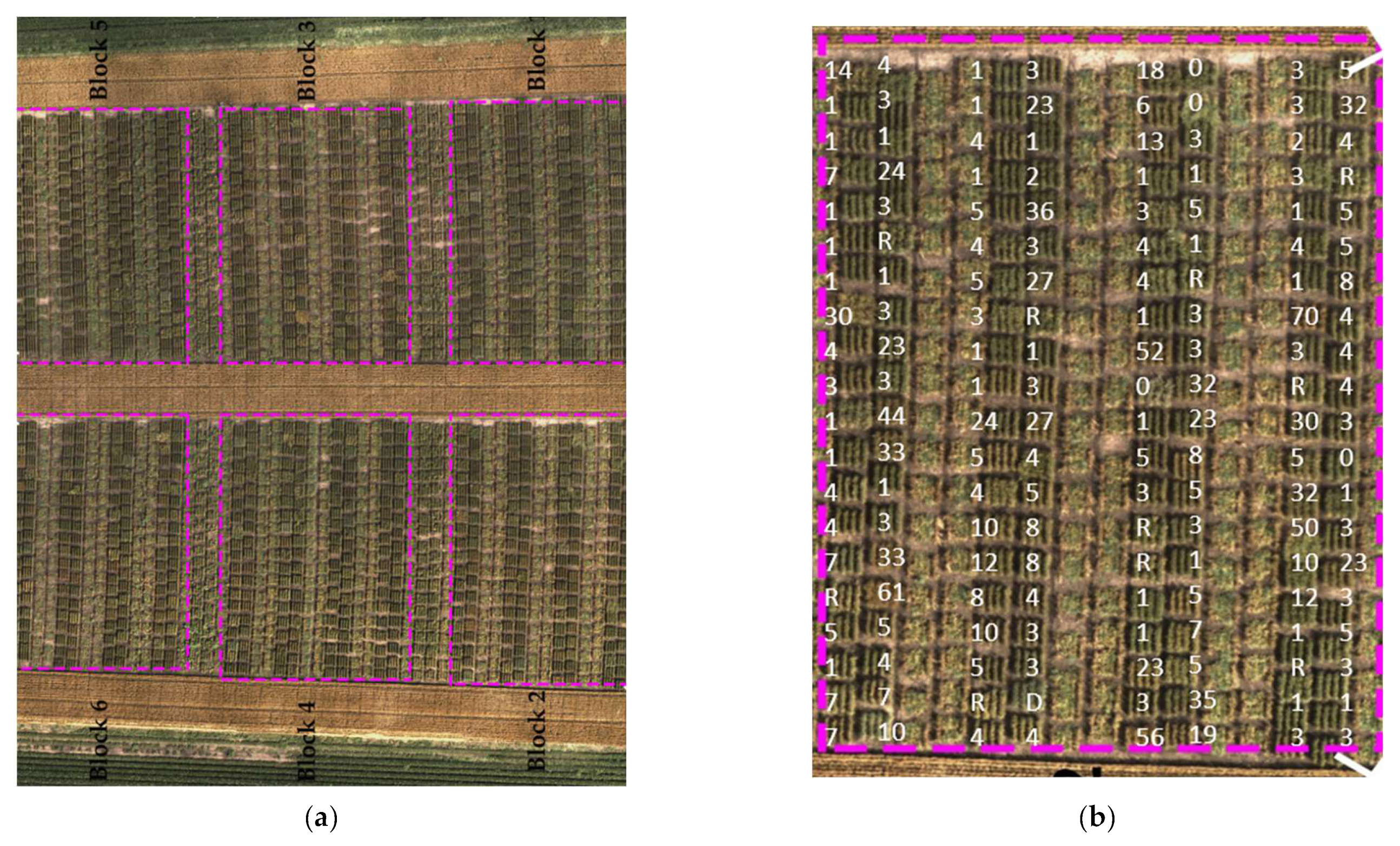 Sensors 23 04154 g001 Sensors 23 04154 g001