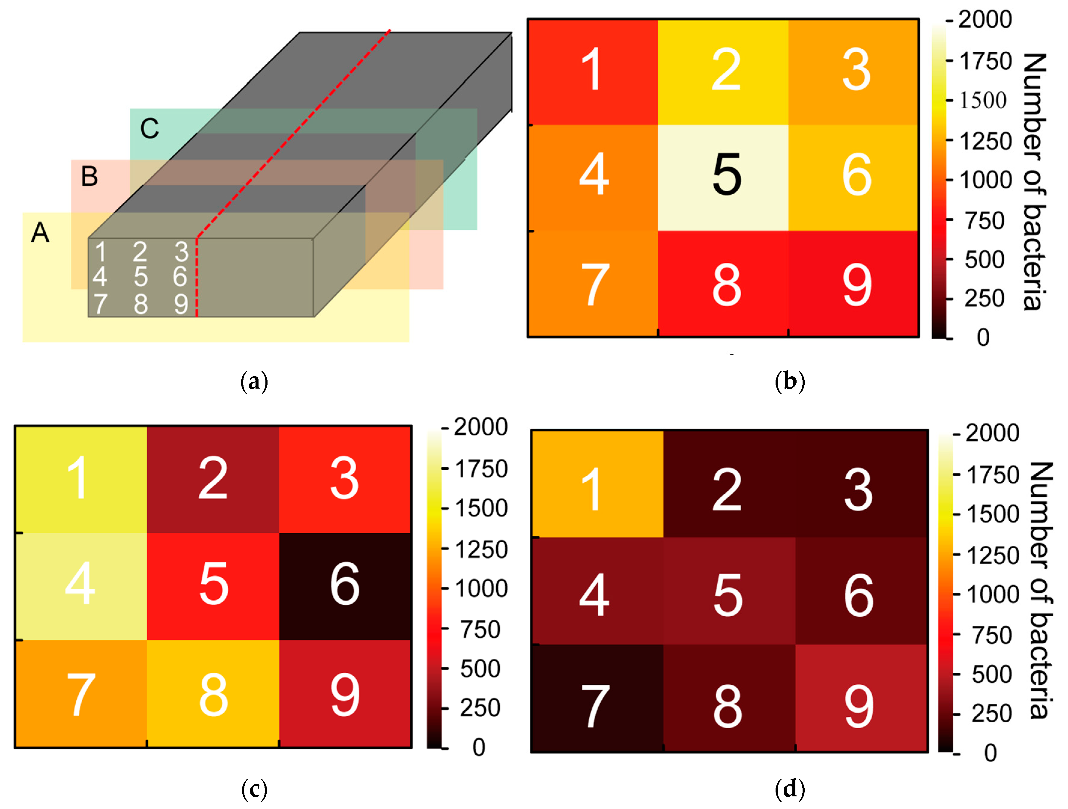 Sensors 23 04162 g010