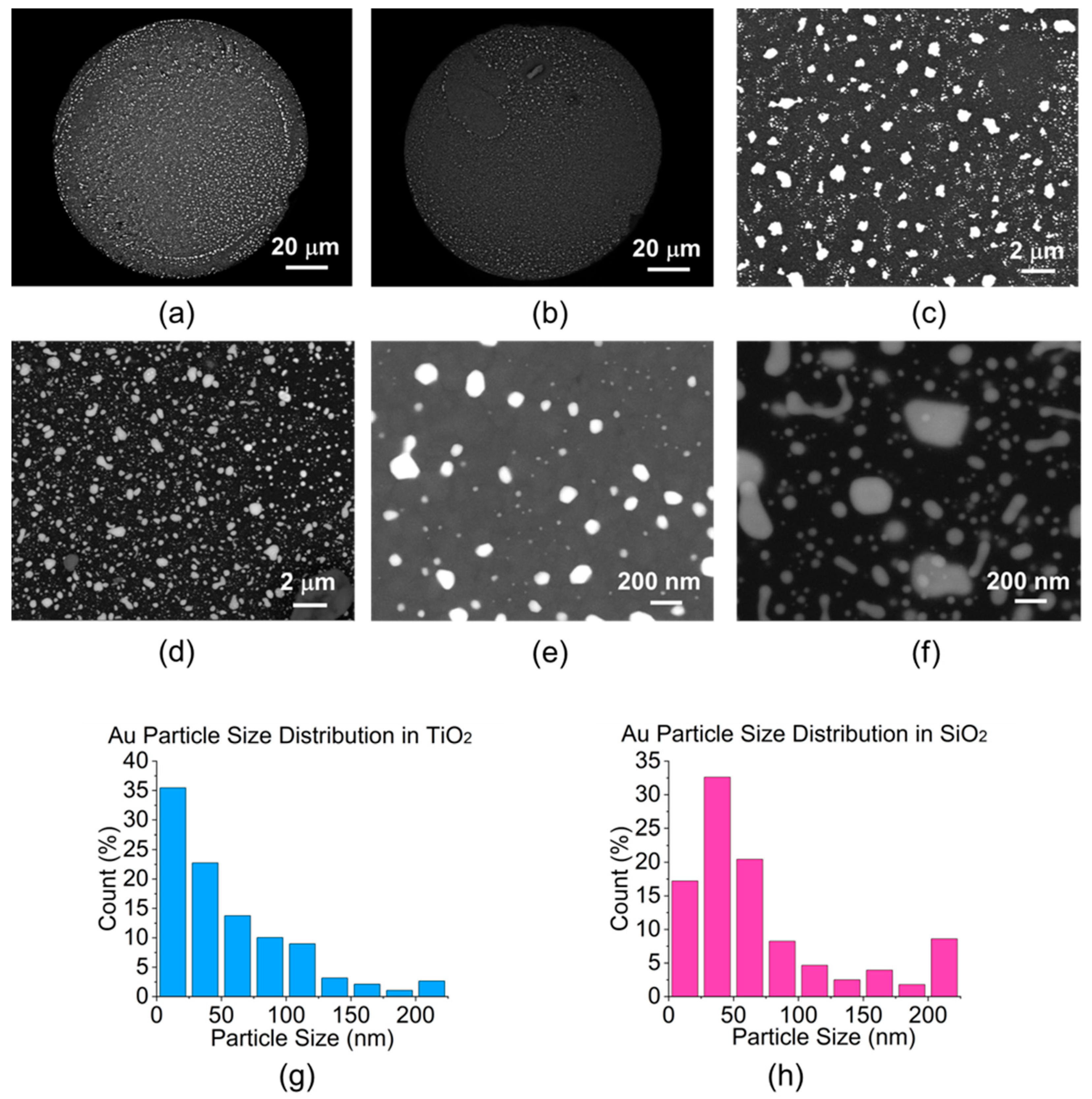 Sensors 23 04165 g002
