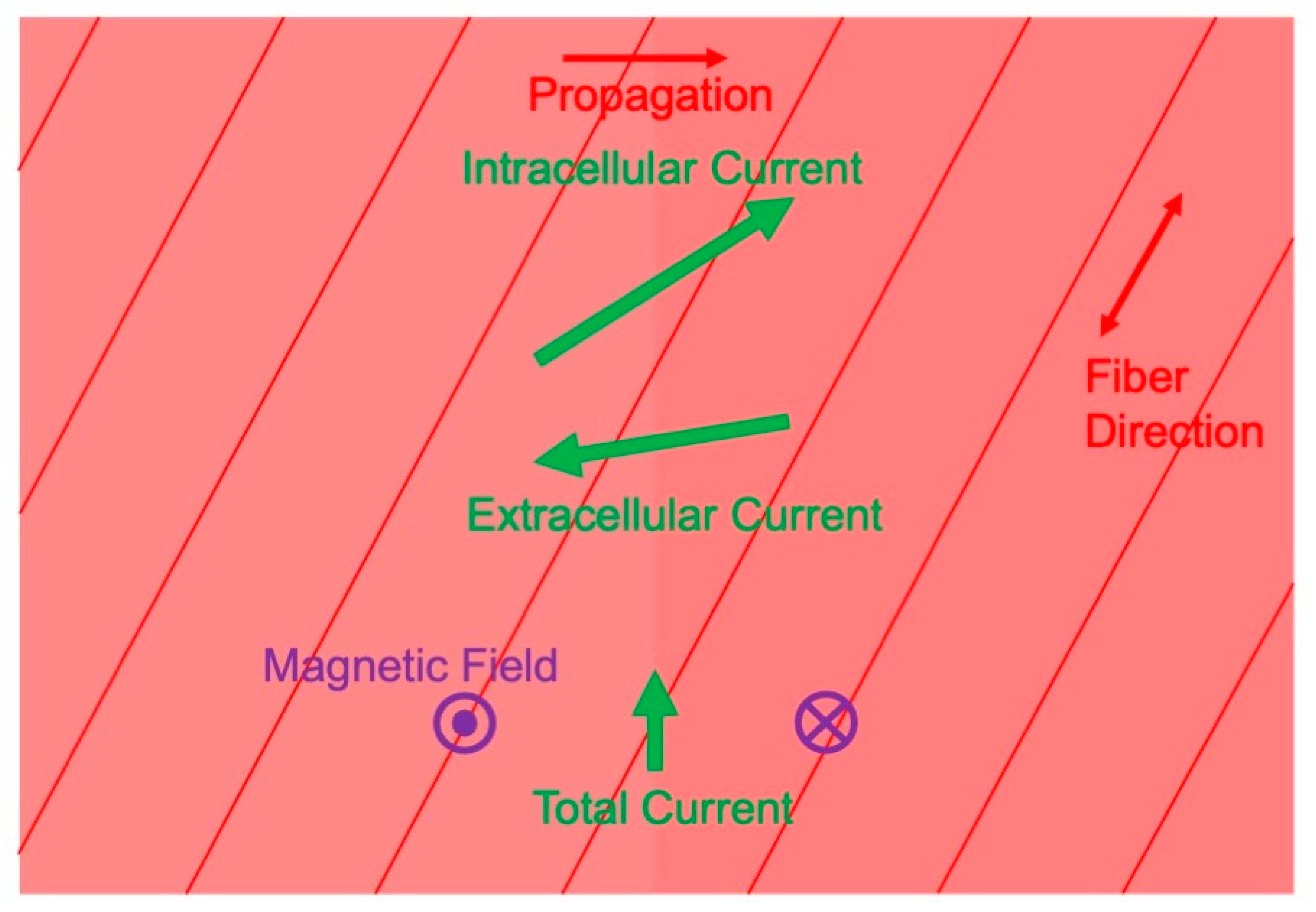 Sensors 23 04218 g006