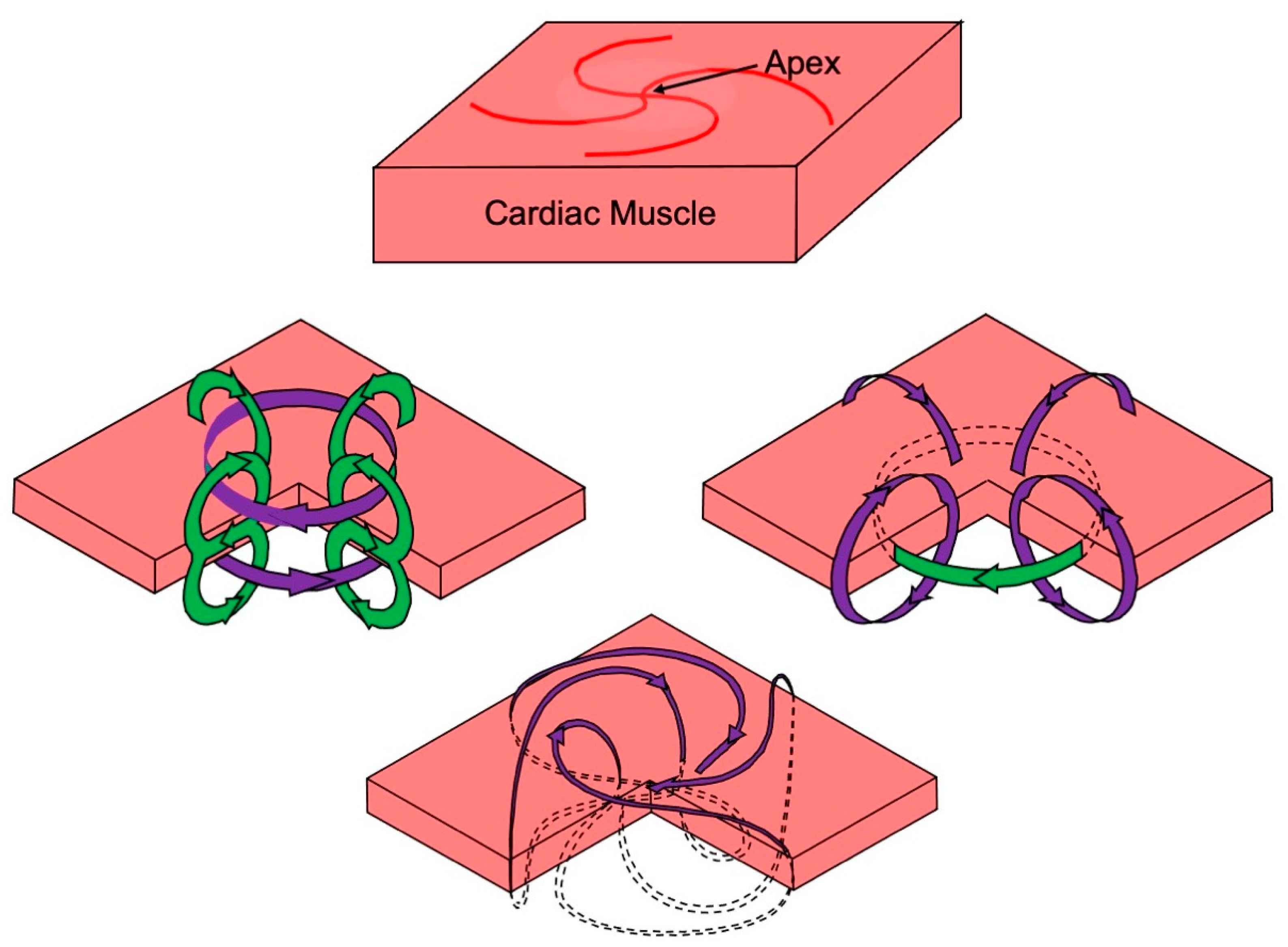 Sensors 23 04218 g007