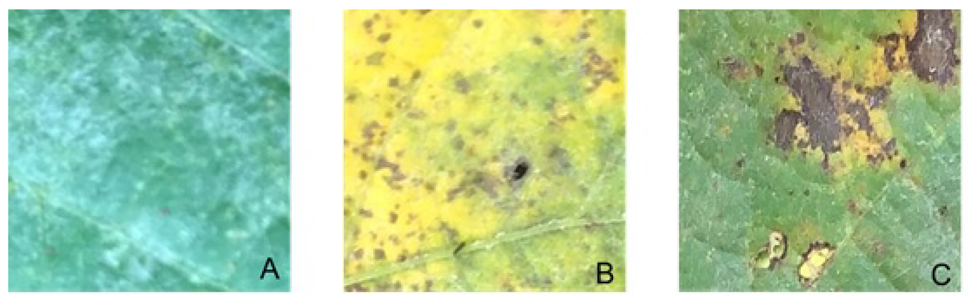 Sensors 23 04272 g001 Sensors 23 04272 g001