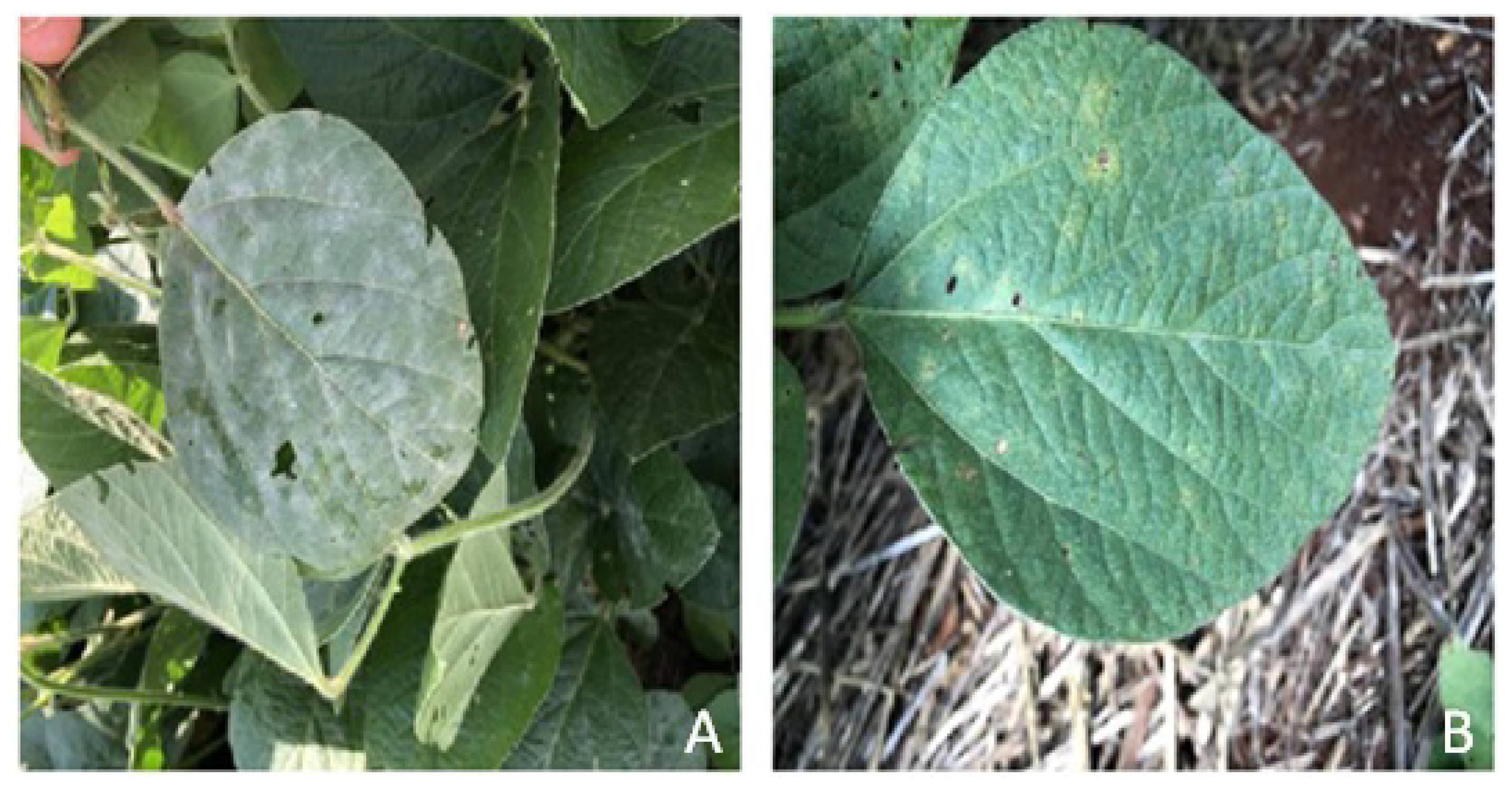 Sensors 23 04272 g005 Sensors 23 04272 g005