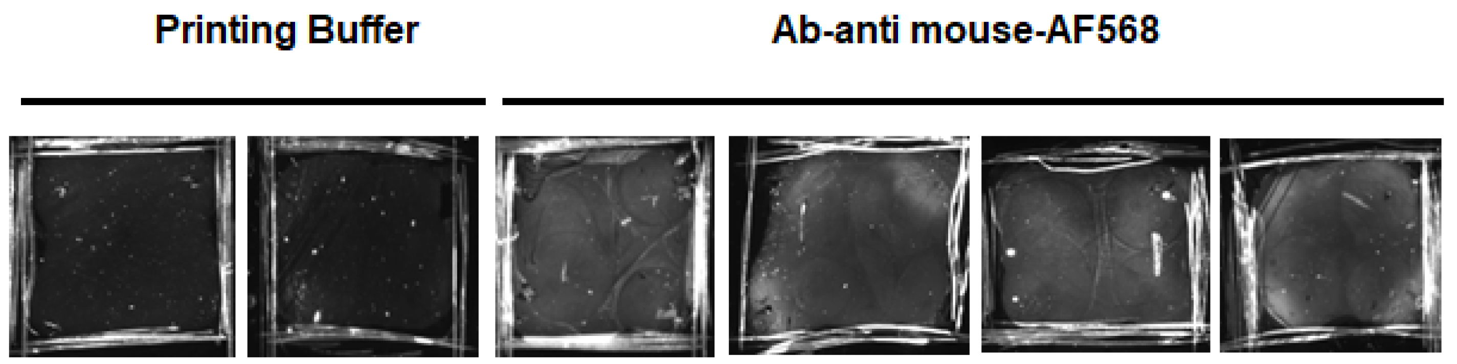 Sensors 23 04309 g004