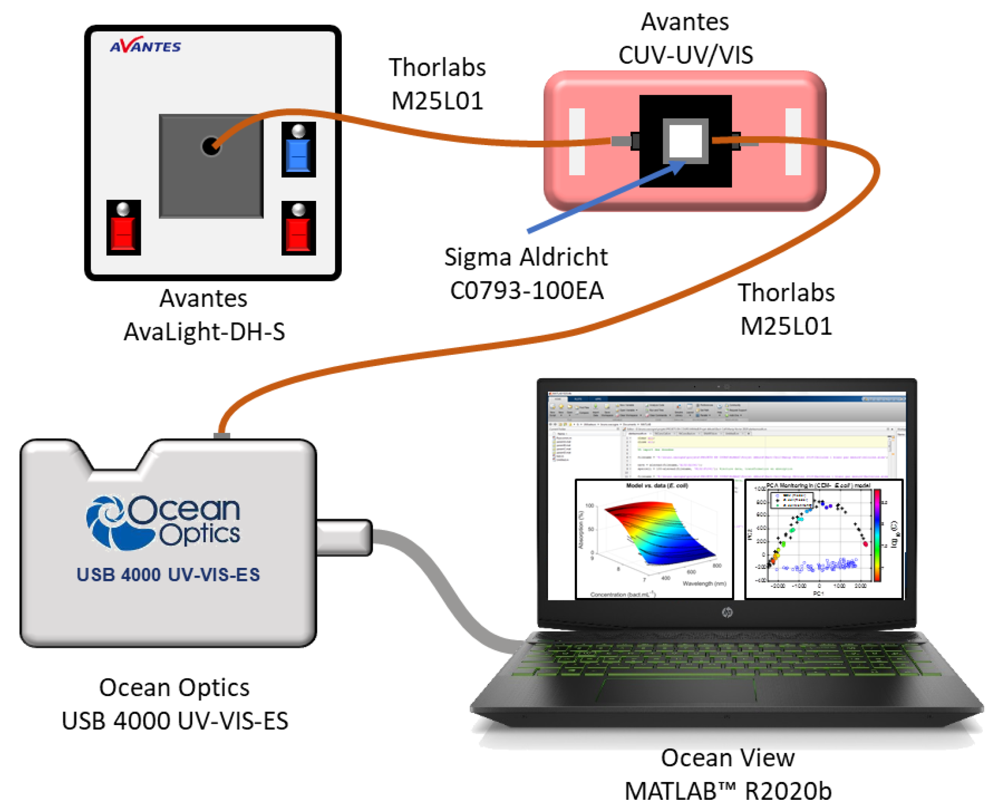 Sensors 23 04325 g001
