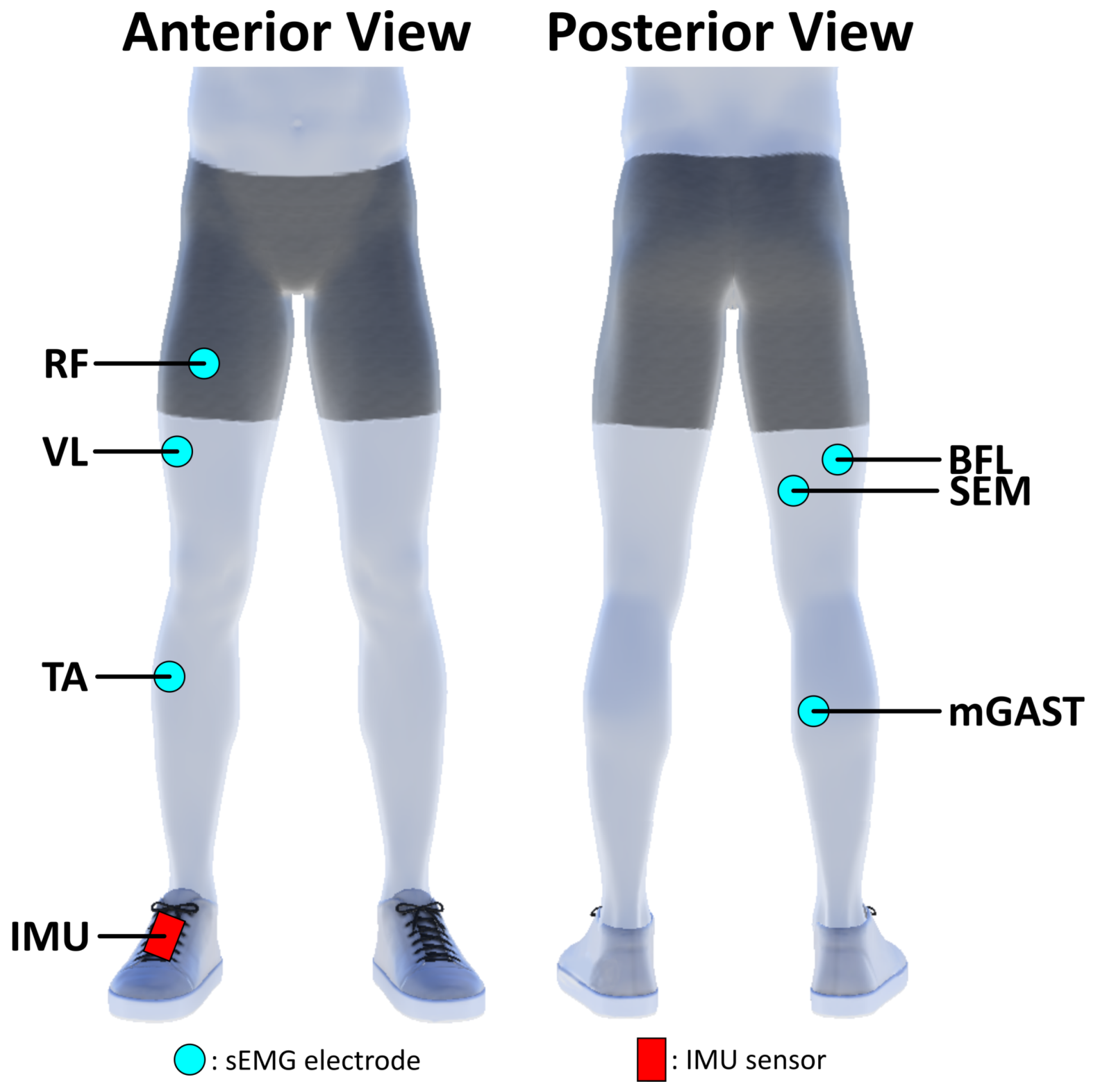 Sensors 23 04340 g002