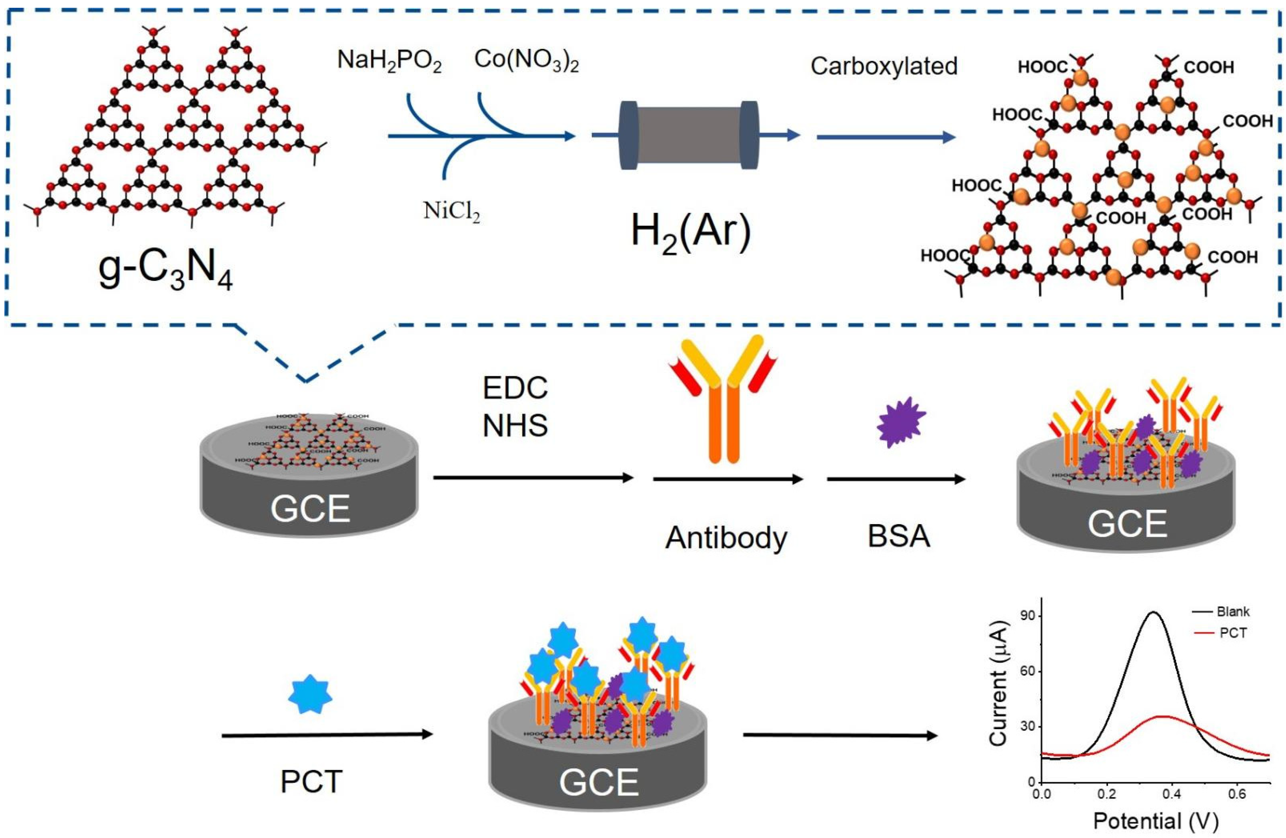 Sensors 23 04348 sch001 Sensors 23 04348 sch001
